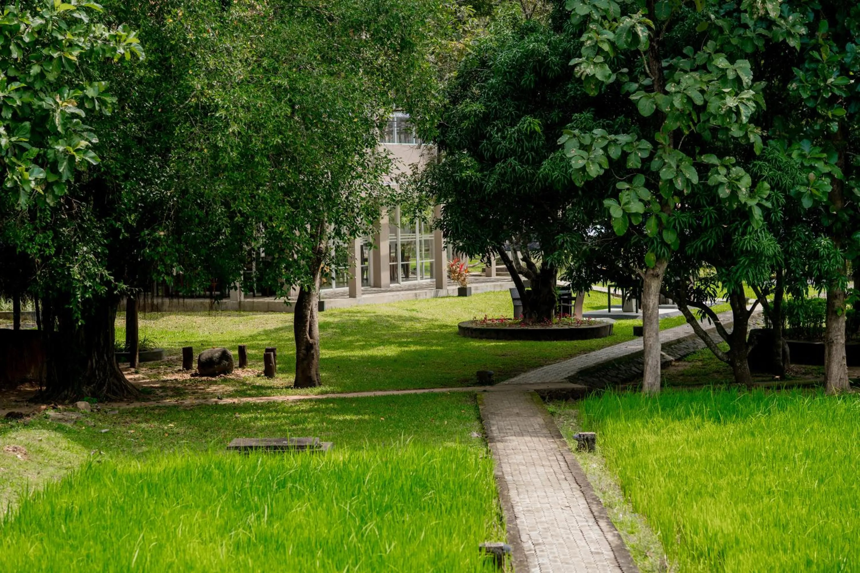 Natural landscape in Lavendish Wild Safari