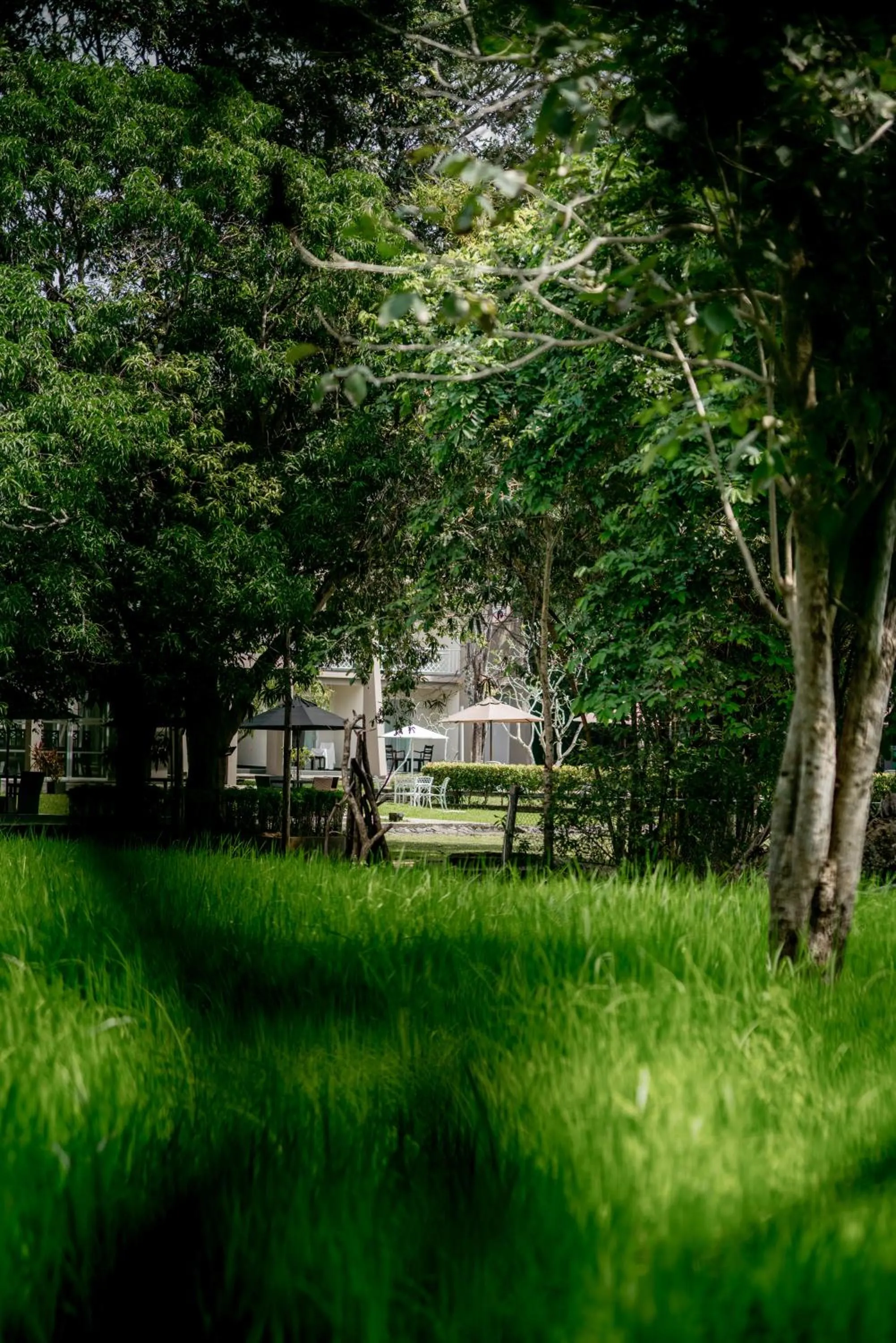 Day in Lavendish Wild Safari