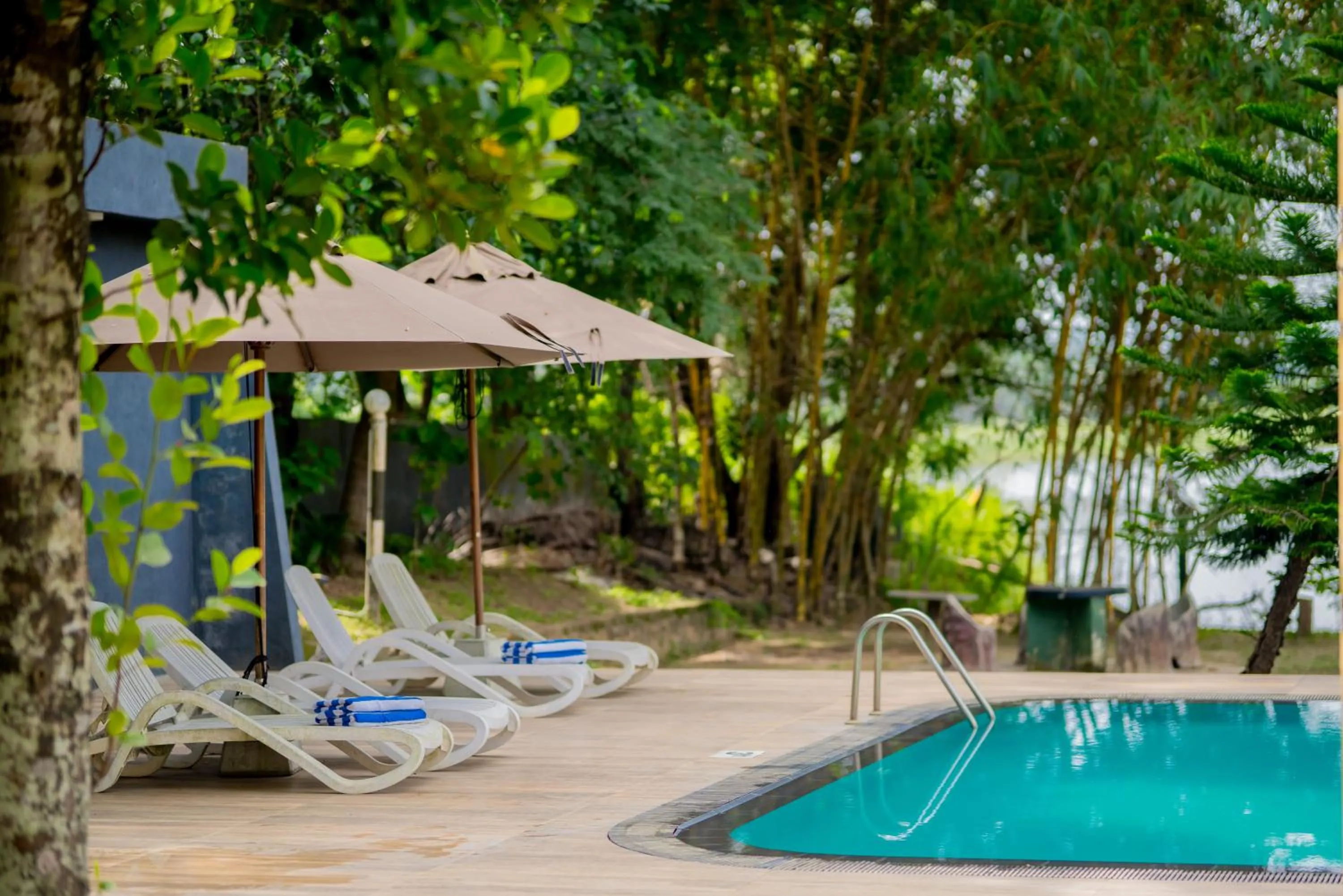 Day in Lavendish Wild Safari