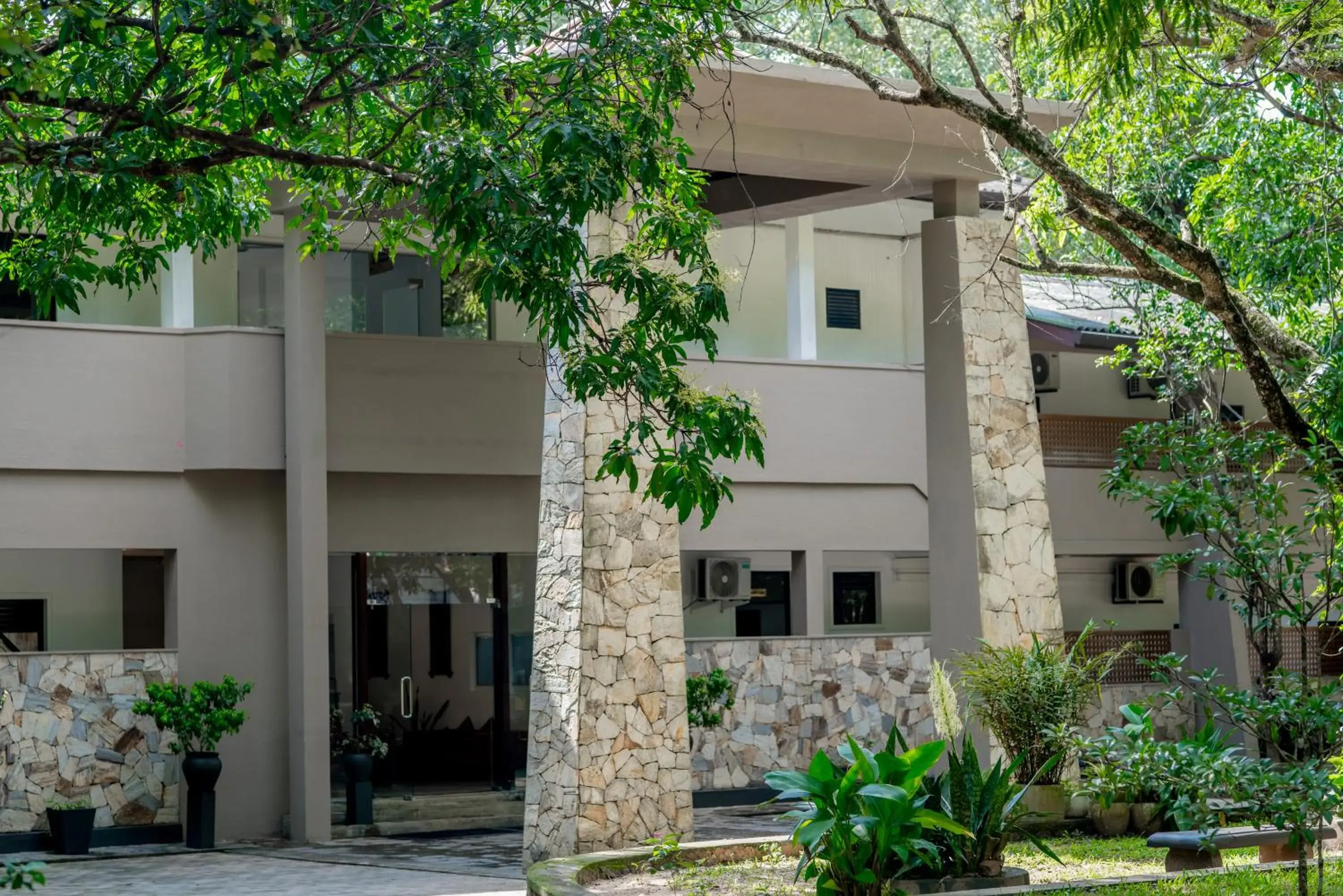 Lavendish Wild Safari Lavendish Wild Safari