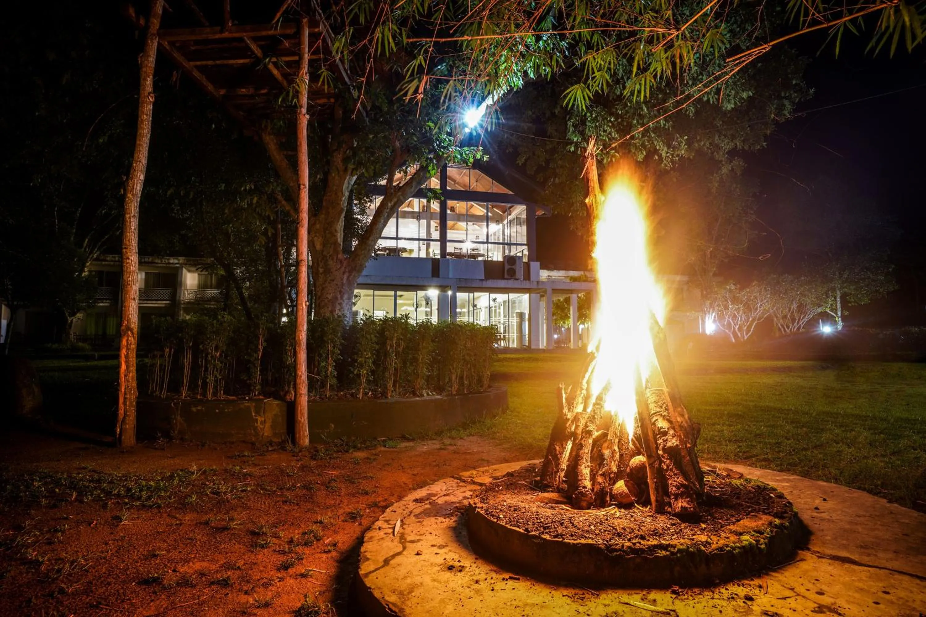 Night in Lavendish Wild Safari