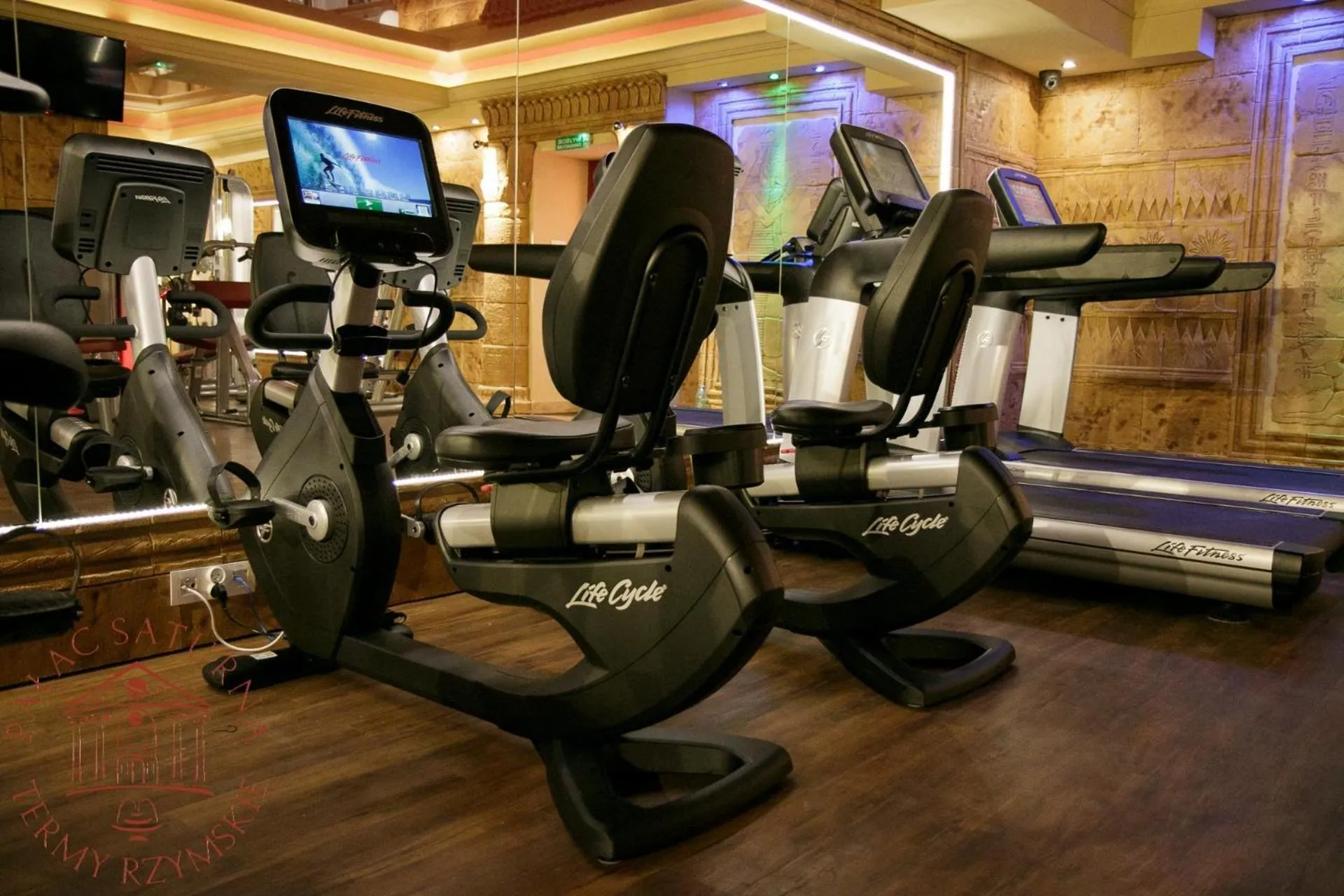 Fitness centre/facilities in Pałac Saturna