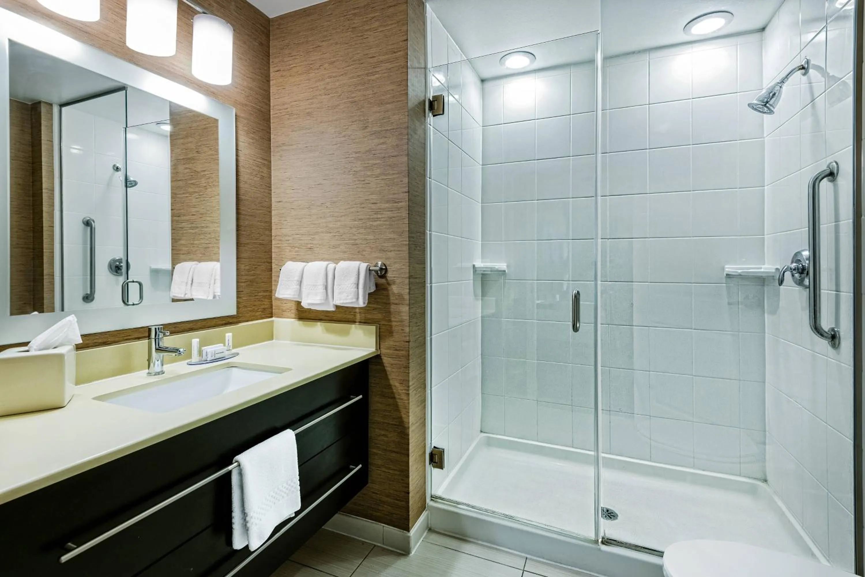 Bathroom in TownePlace Suites by Marriott San Antonio Downtown Riverwalk