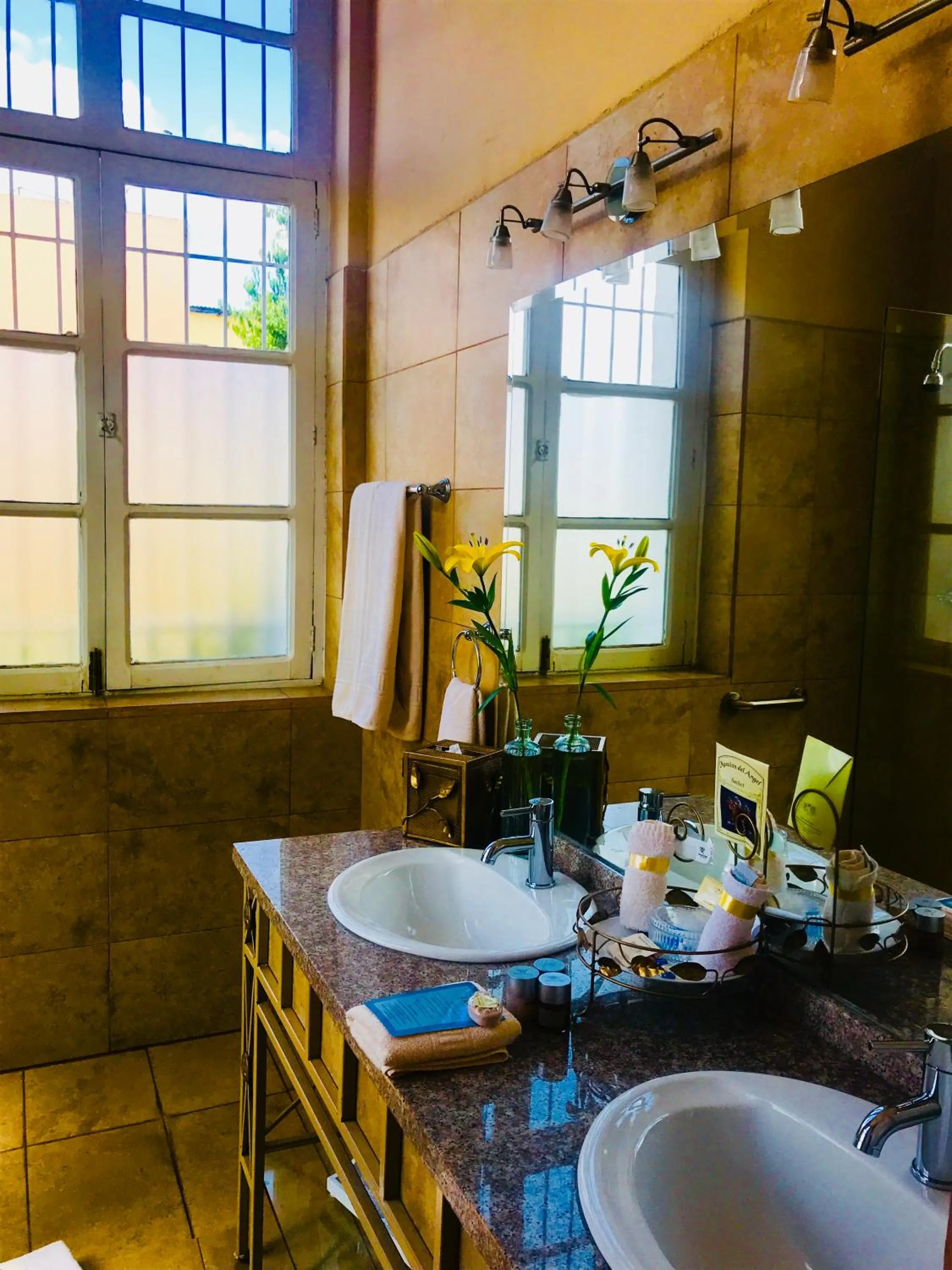Shower in Boutique Hotel Mansion del Angel