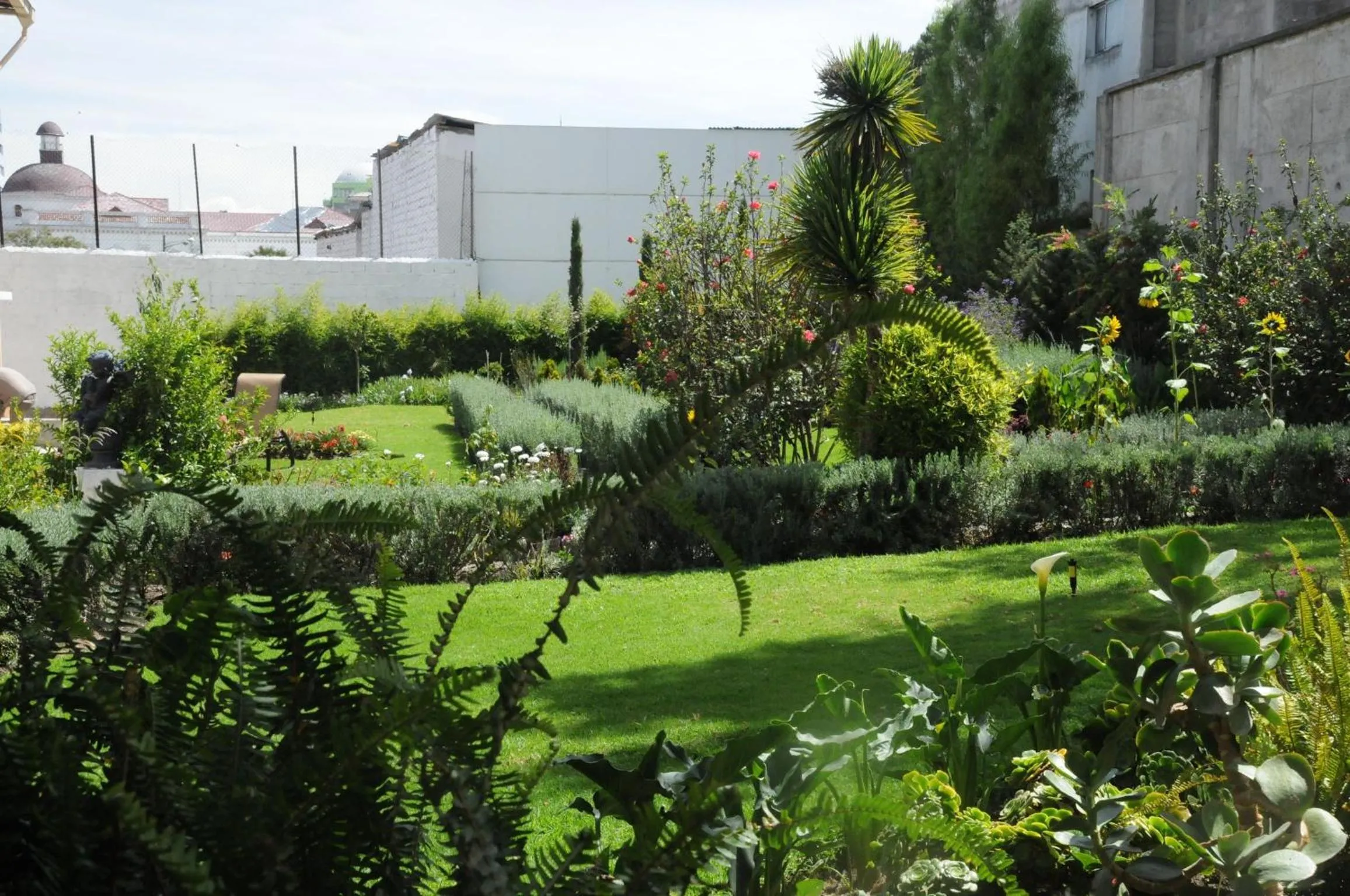 Garden in Boutique Hotel Mansion del Angel