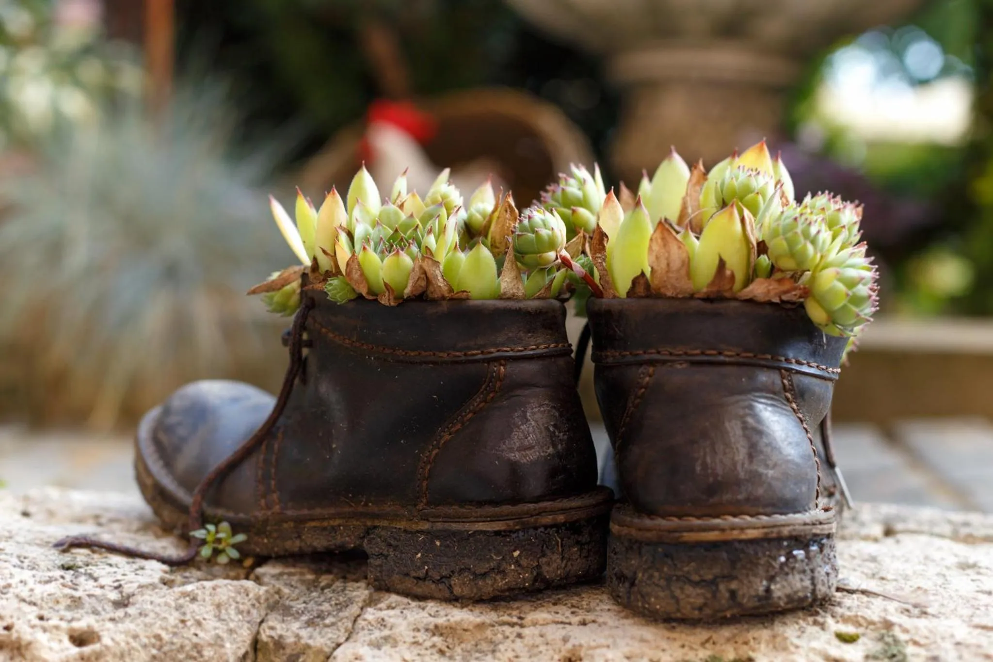 Garden in Penzión - Restaurant Atrium