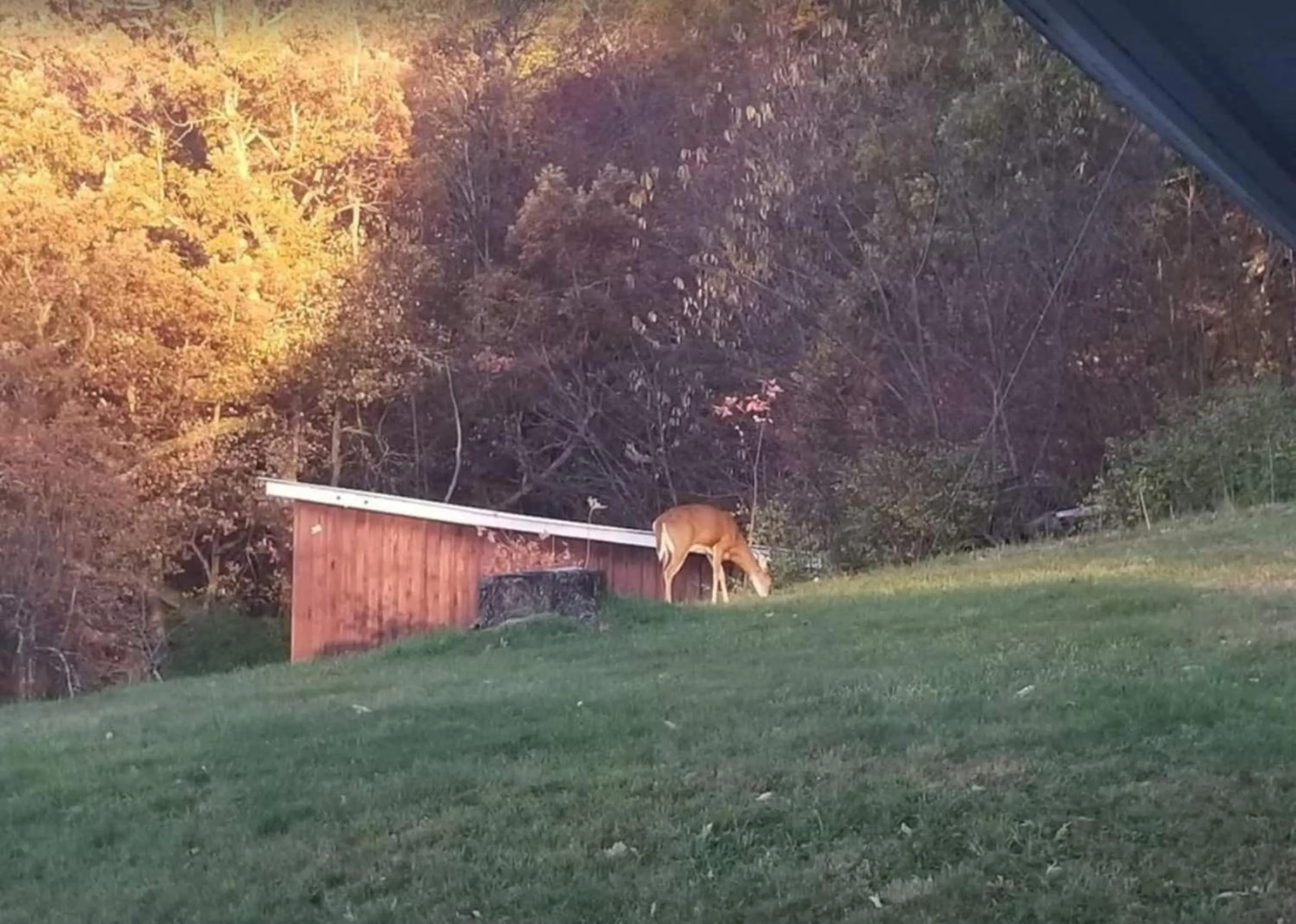 Other in Awesome Flat Top Farmhouse