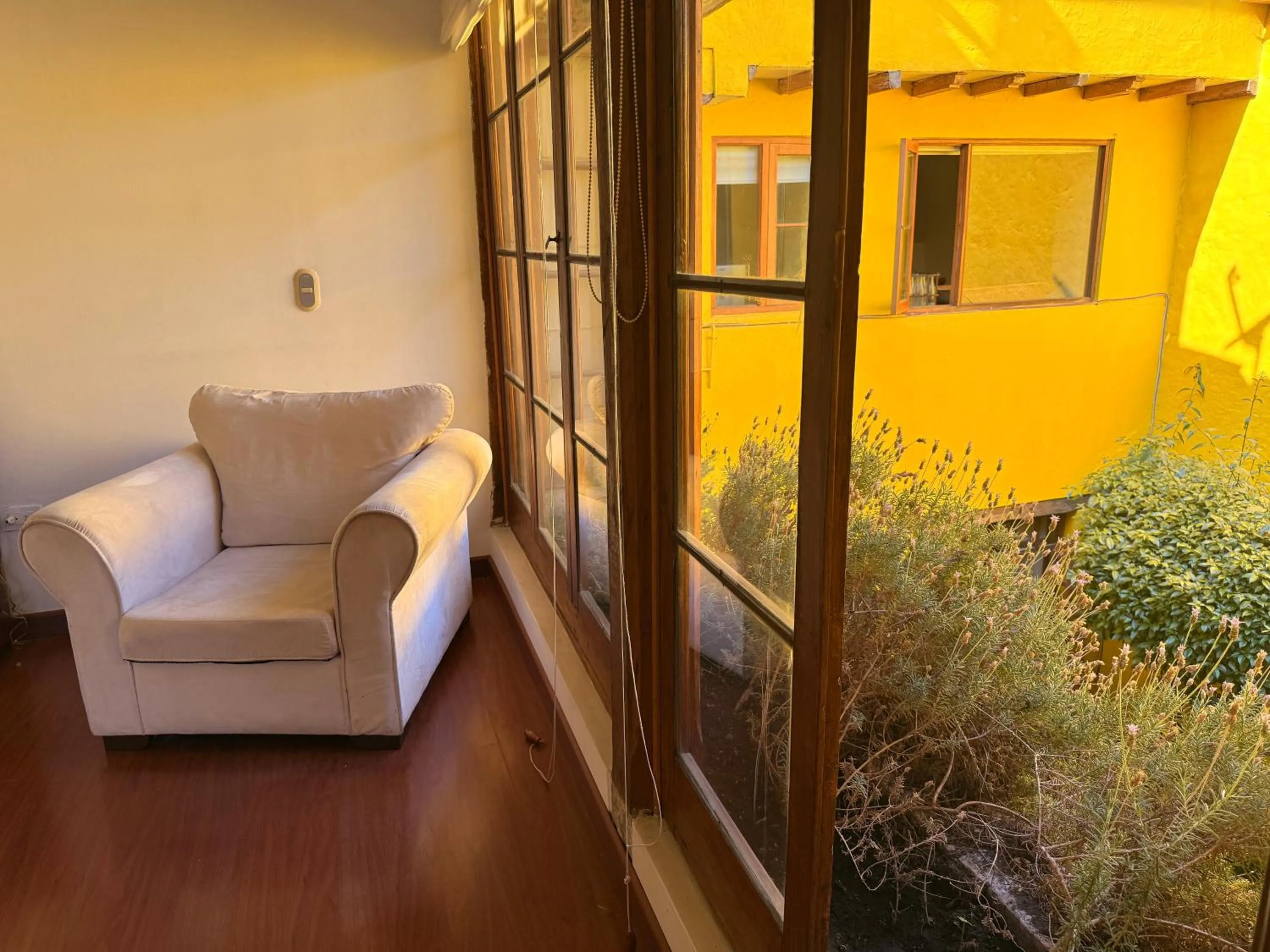 Garden view in Apartaestudios La Candelaria