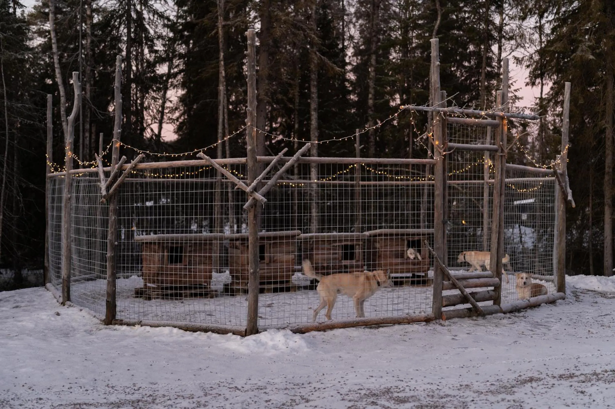 Activities in Nova Skyland Hotel