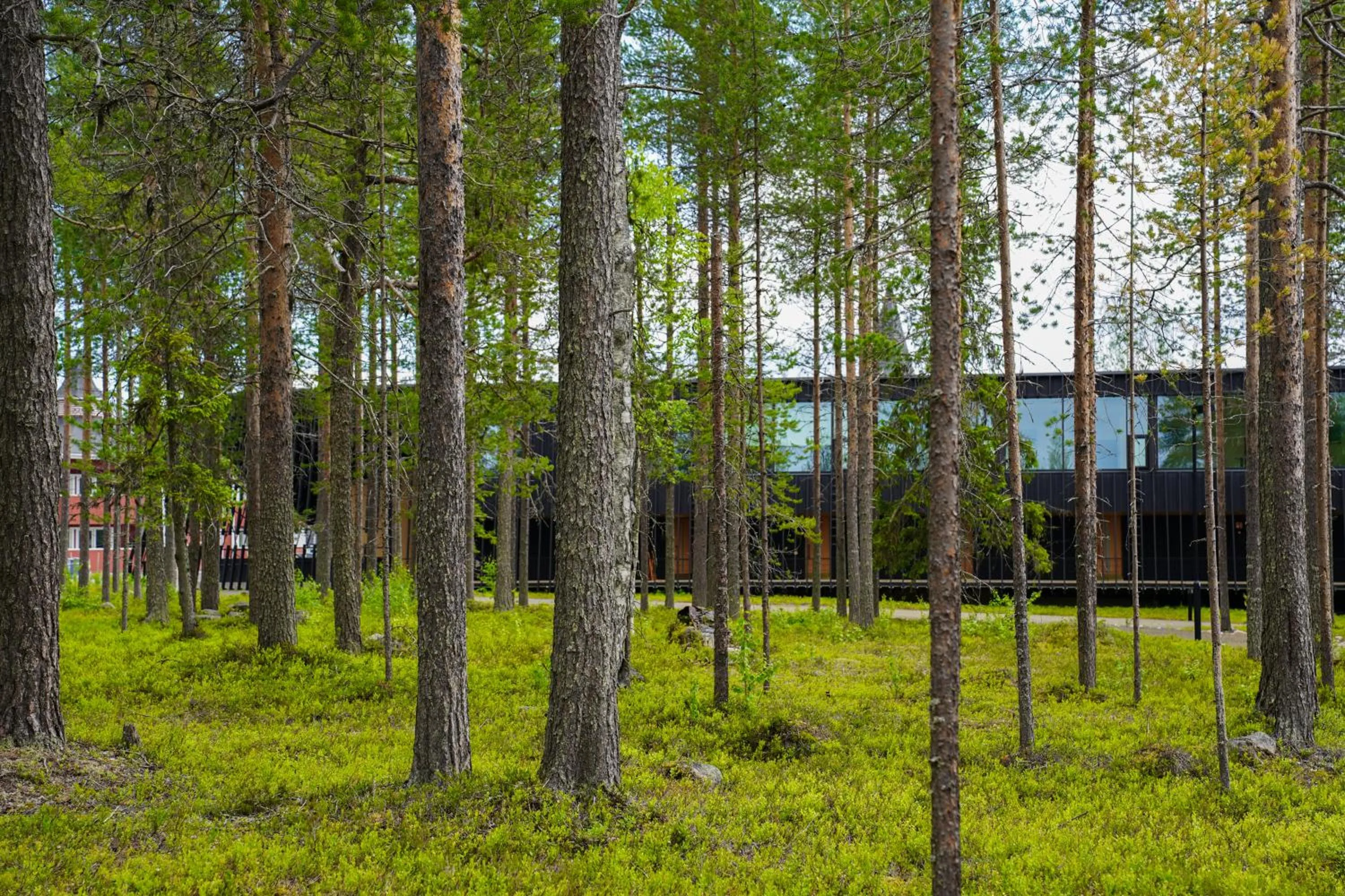 Property building in Nova Skyland Hotel