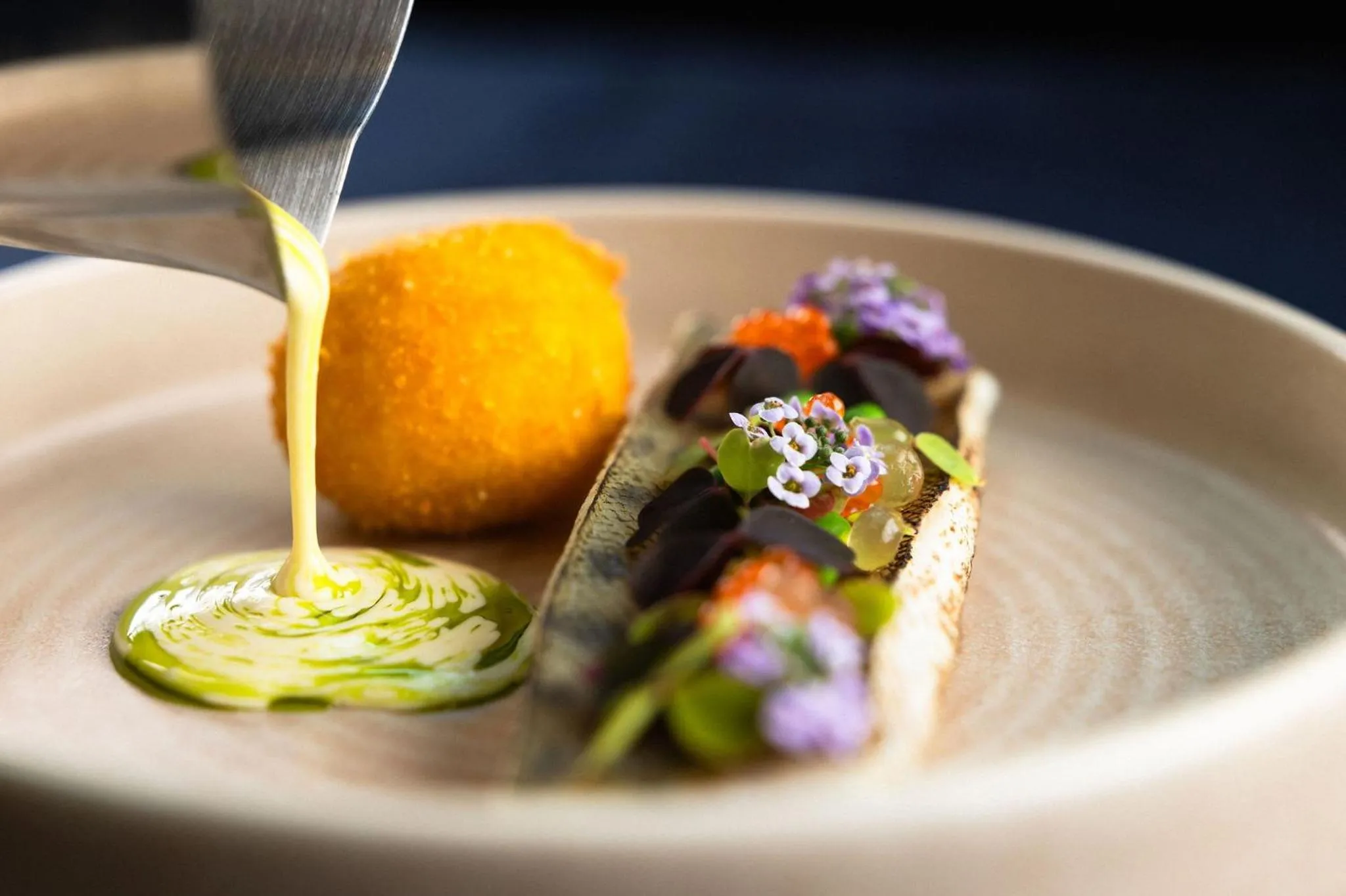 Restaurant/places to eat in Nova Skyland Hotel