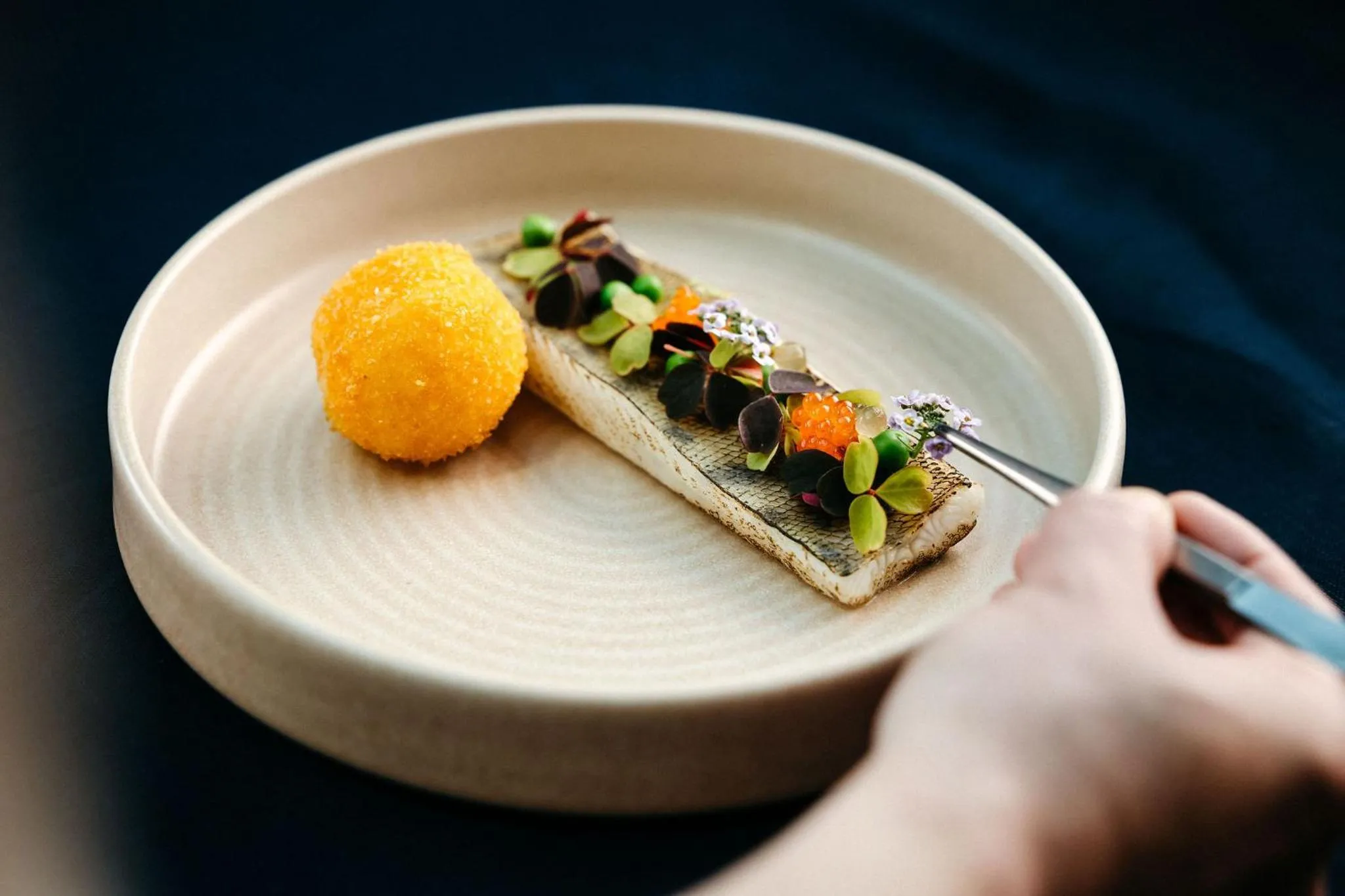 Restaurant/places to eat in Nova Skyland Hotel