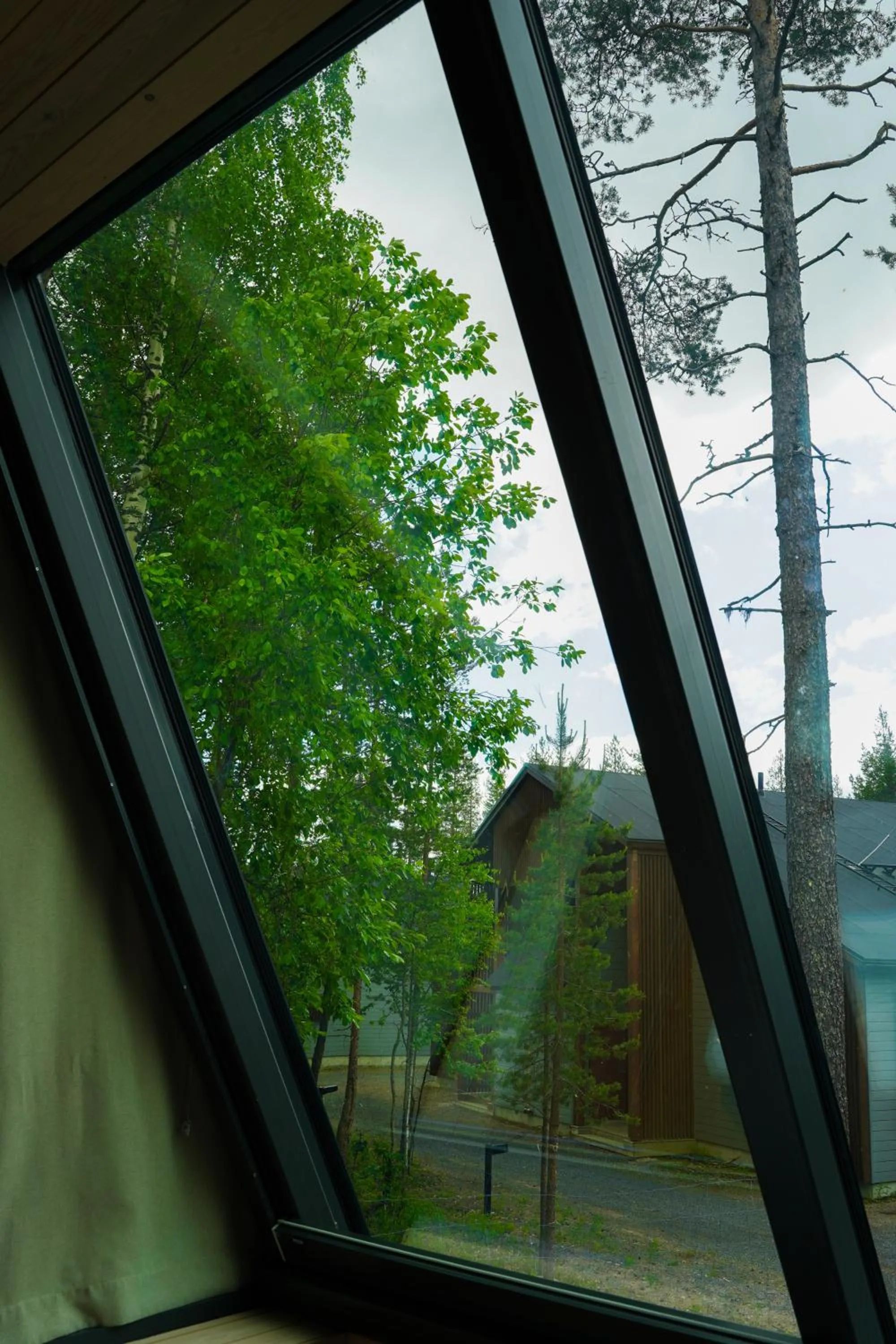 Summer in Nova Skyland Hotel