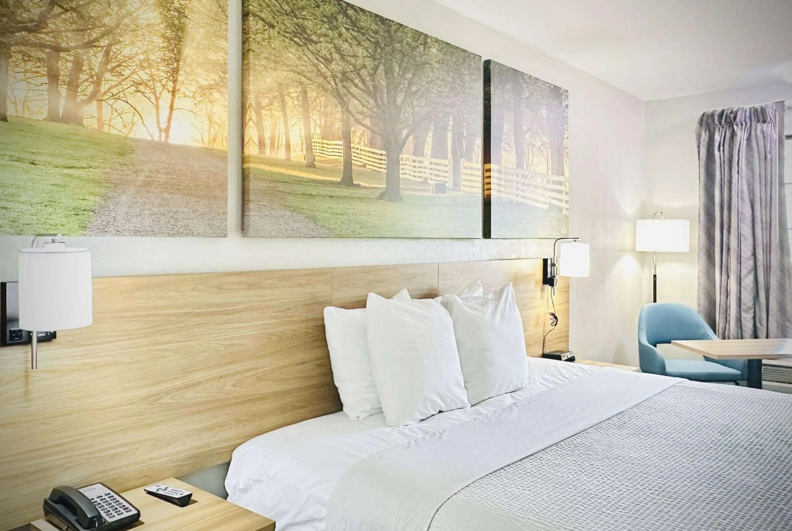 Photo of the whole room, Bed in Days Inn by Wyndham WestEnd Alexandria,VA Washington DC Area