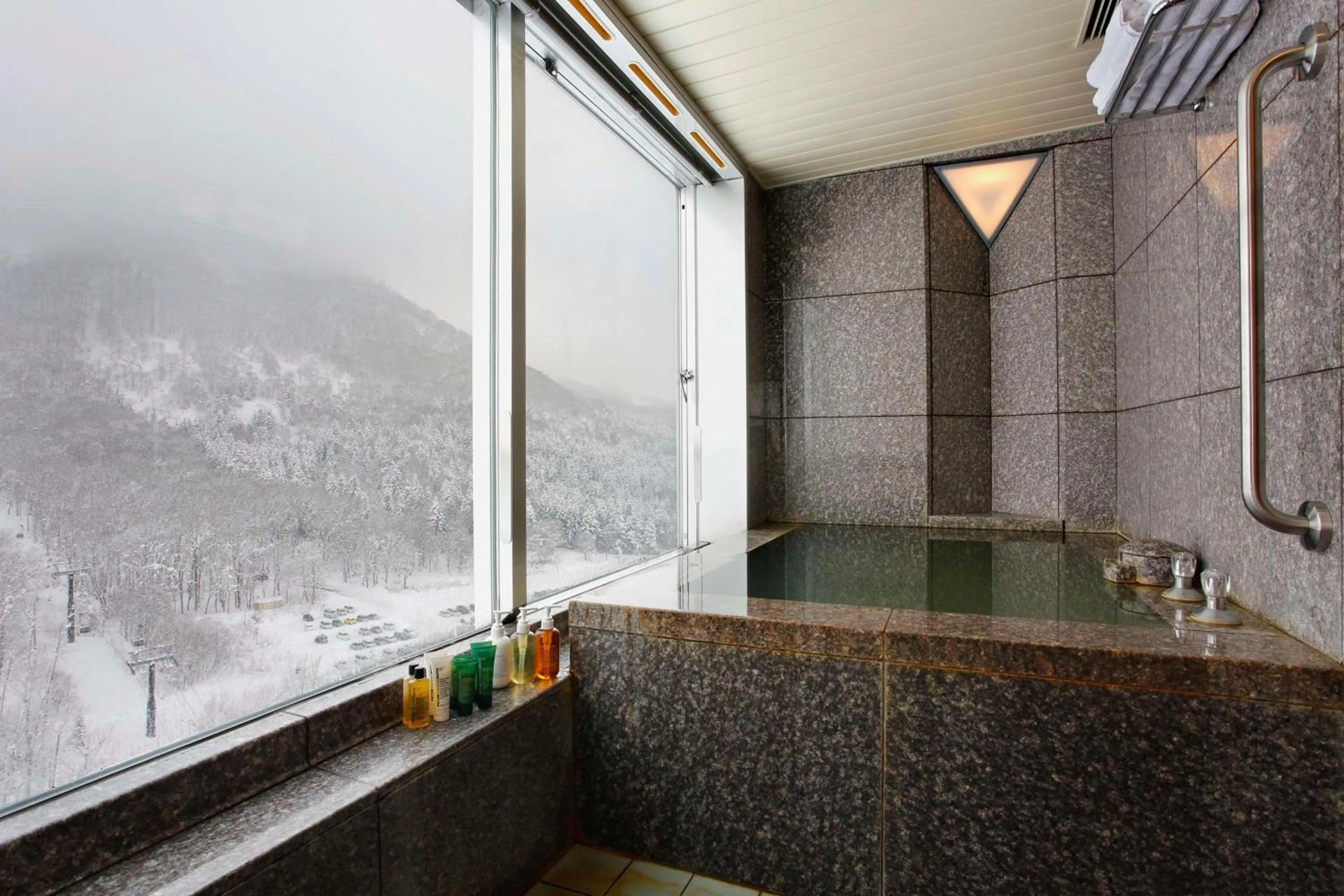 Photo of the whole room in Hilton Niseko Village