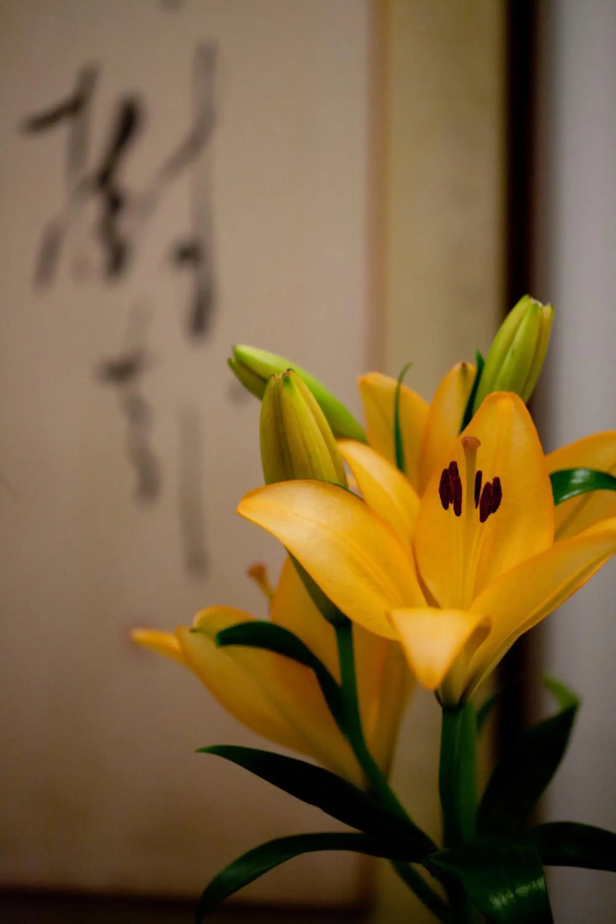 Kimi Ryokan Kimi Ryokan