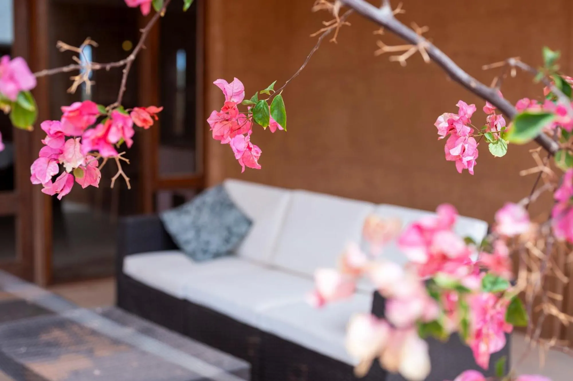 Garden in Mud Hut Motel