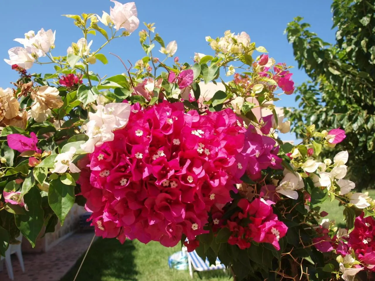 Decorative detail in Villa Rita Apartments A