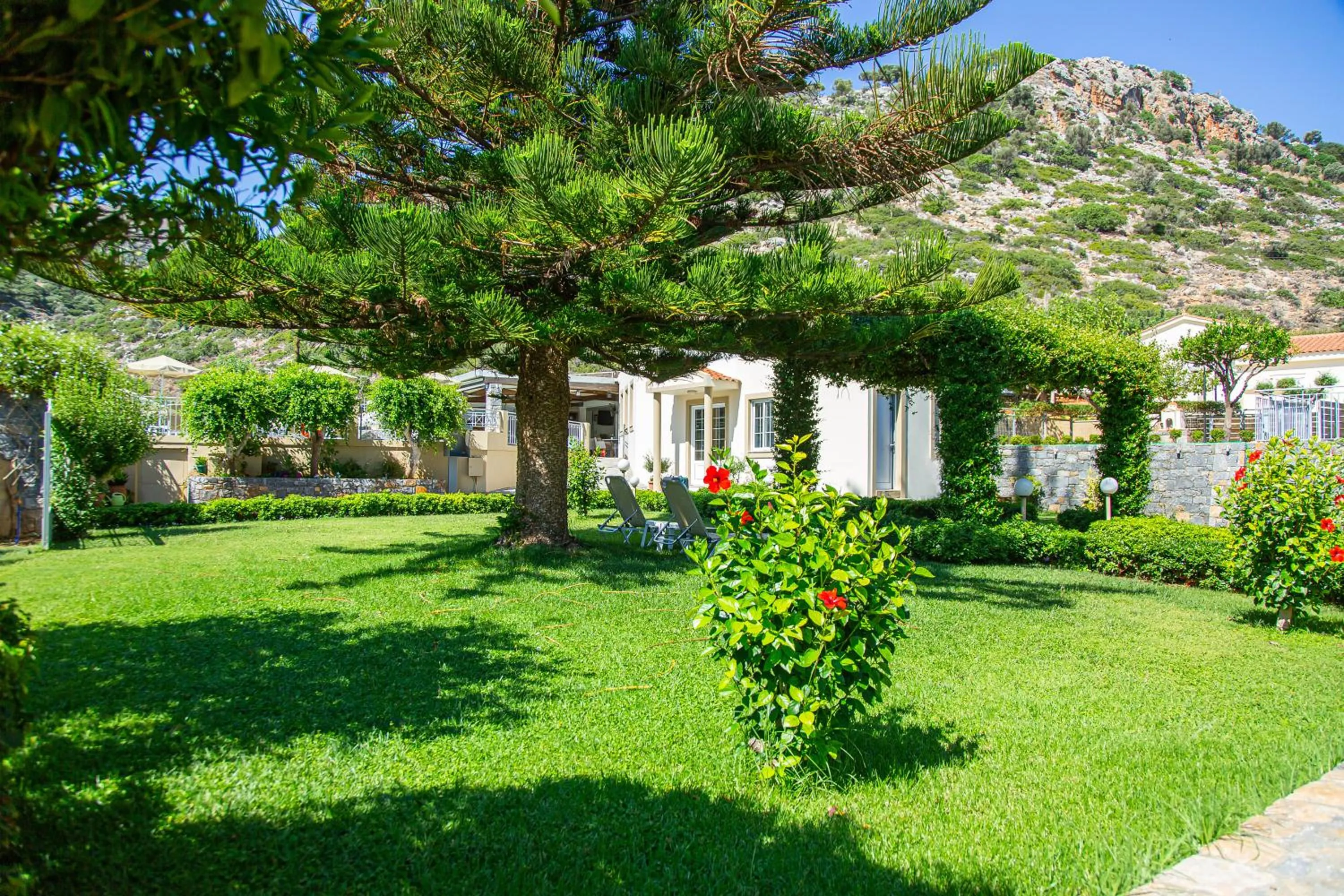 Garden in Villa Mare Monte ApartHotel