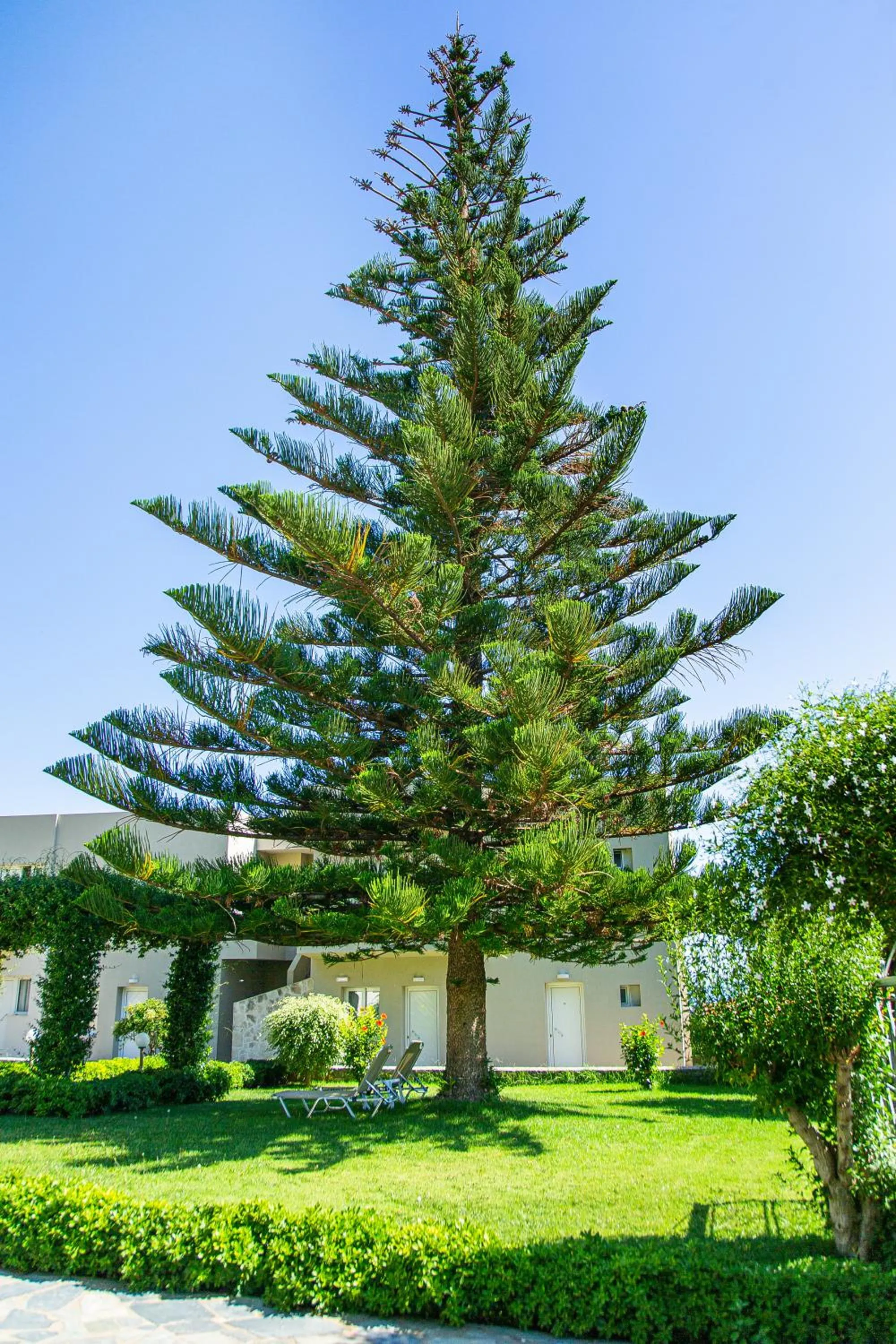 Garden in Villa Mare Monte ApartHotel