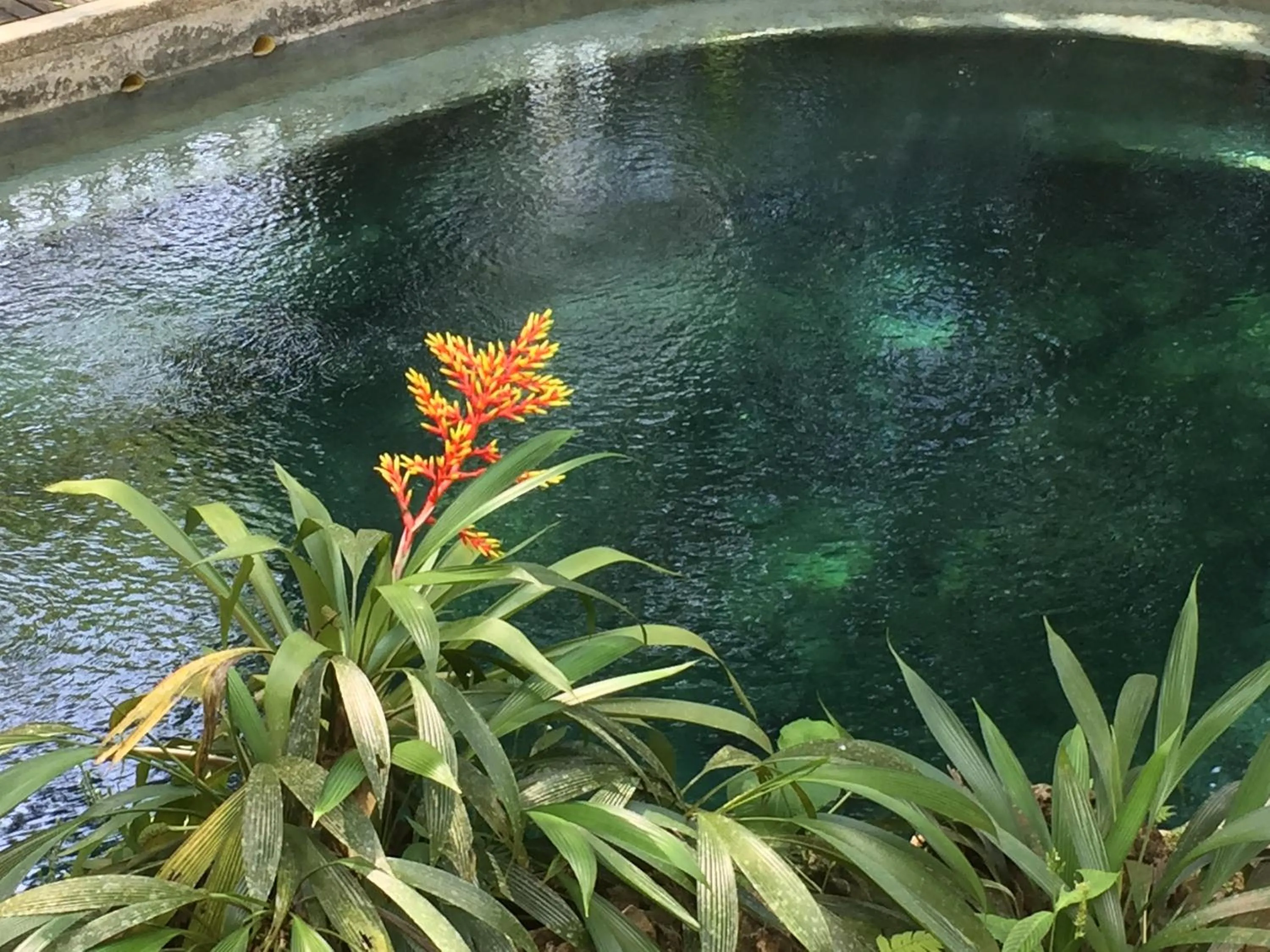 Nearby landmark in La Kuka Hotel - Nuquí