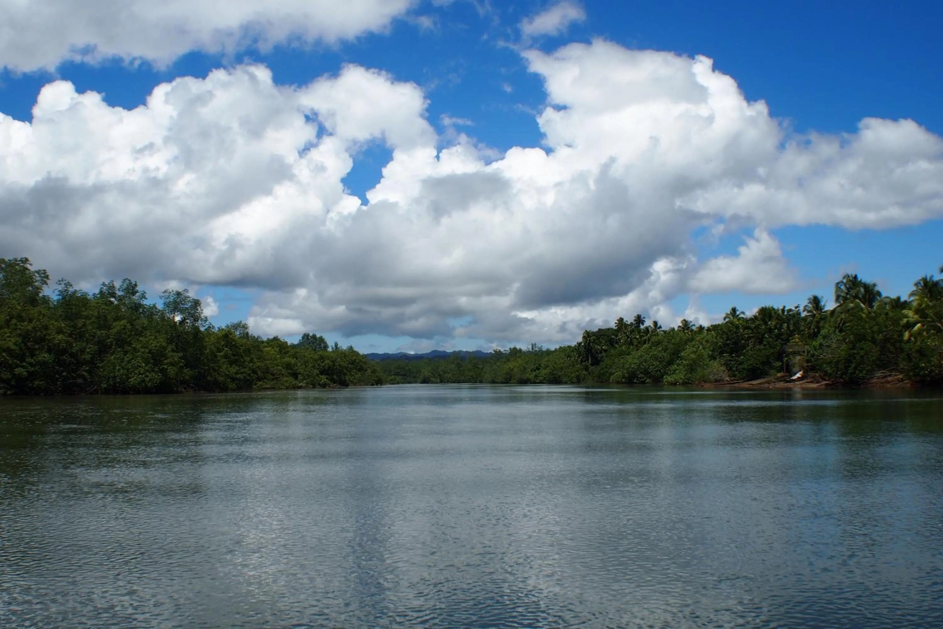Natural landscape in La Kuka Hotel - Nuquí