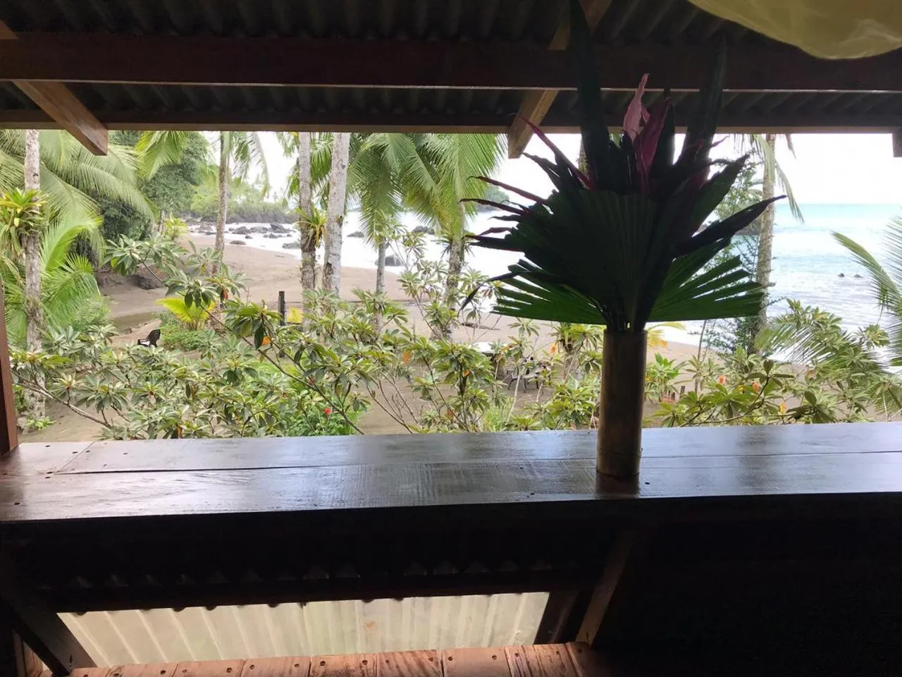 Garden view in La Kuka Hotel - Nuquí