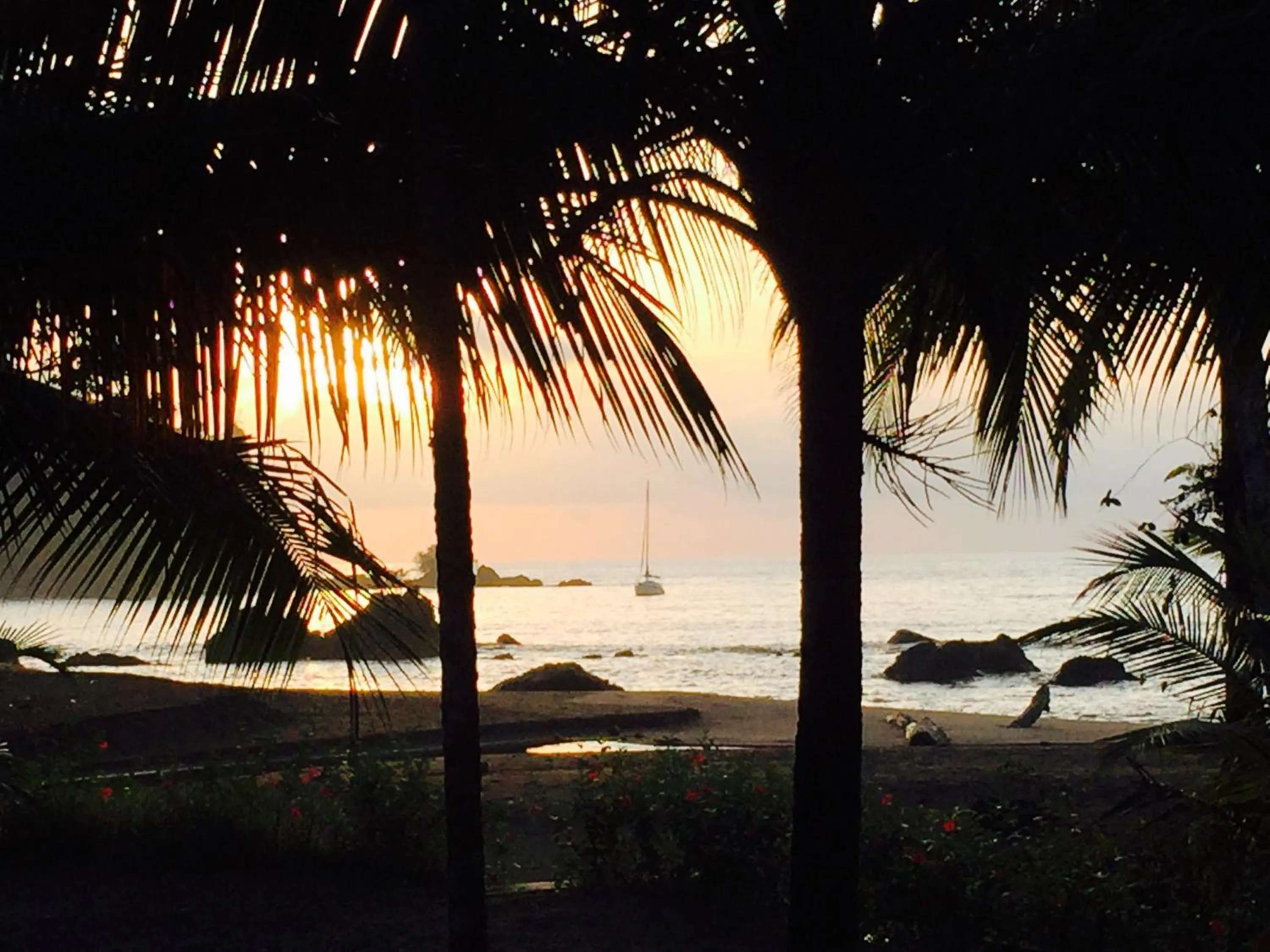 Beach in La Kuka Hotel - Nuquí