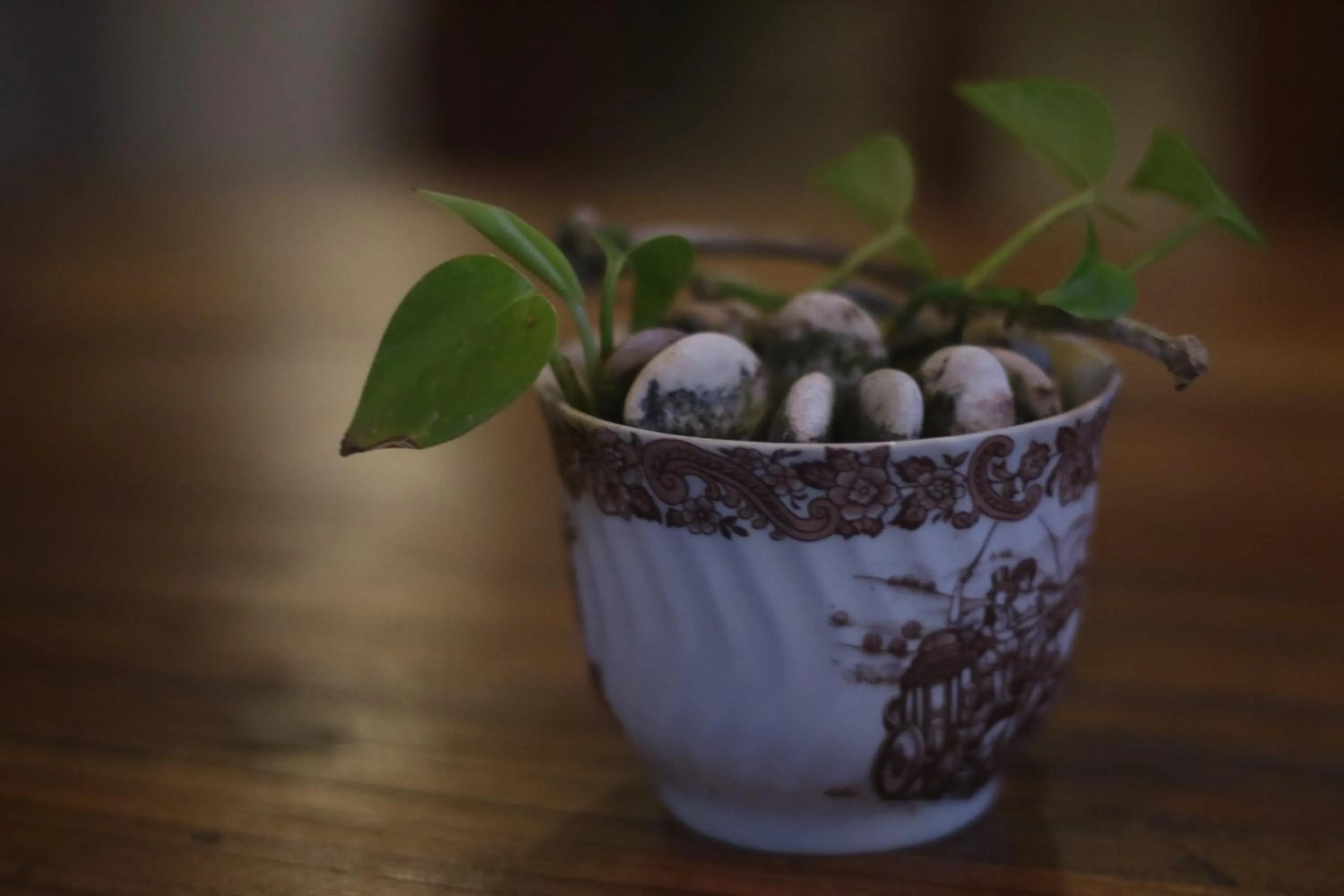 Decorative detail in Capung Cottages