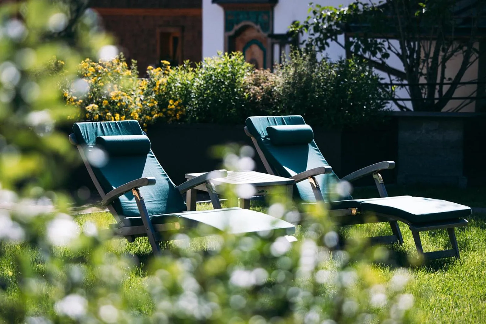Garden in Hotel Aurora