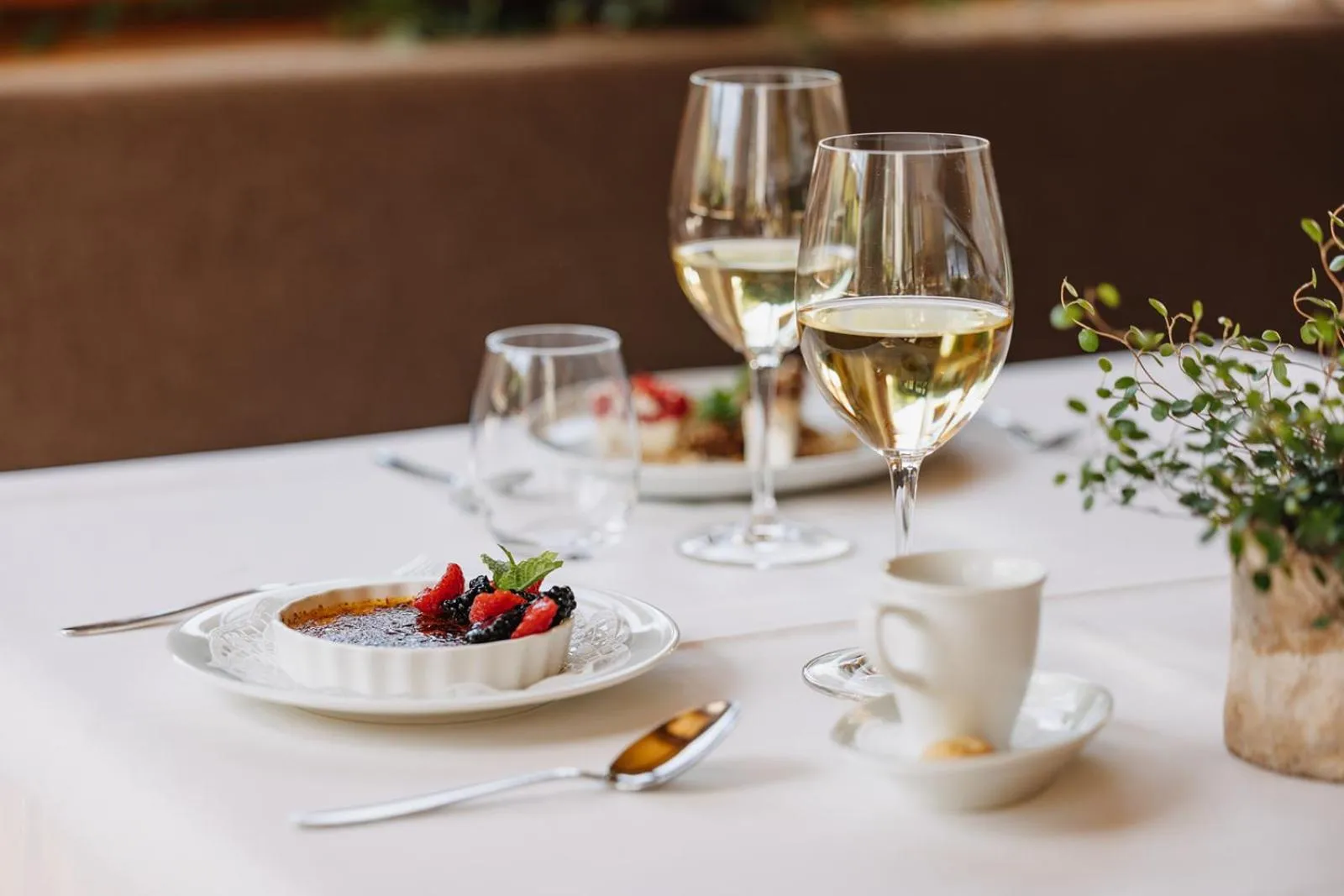 Food and drinks in Hotel Aurora