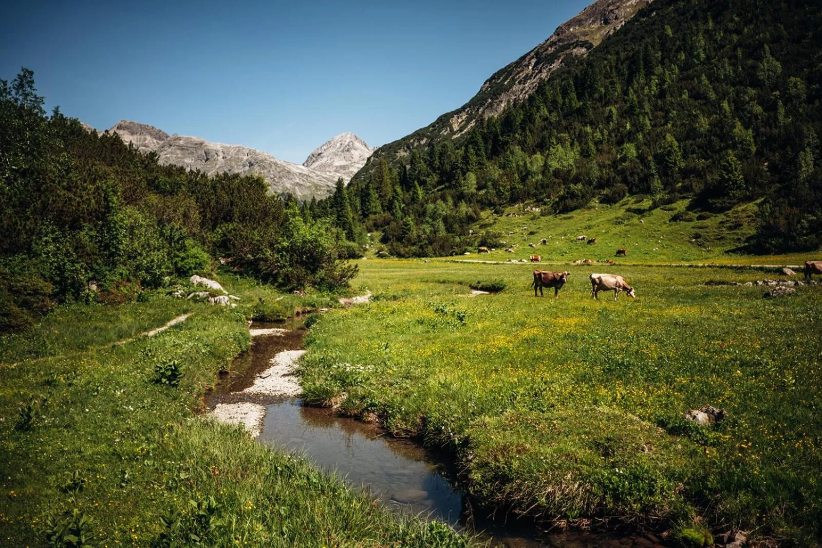 Spring in Hotel Aurora