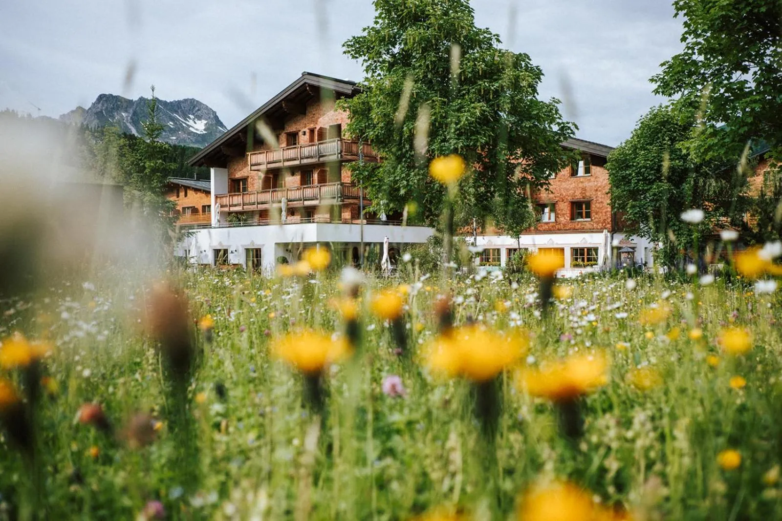 Property building in Hotel Aurora