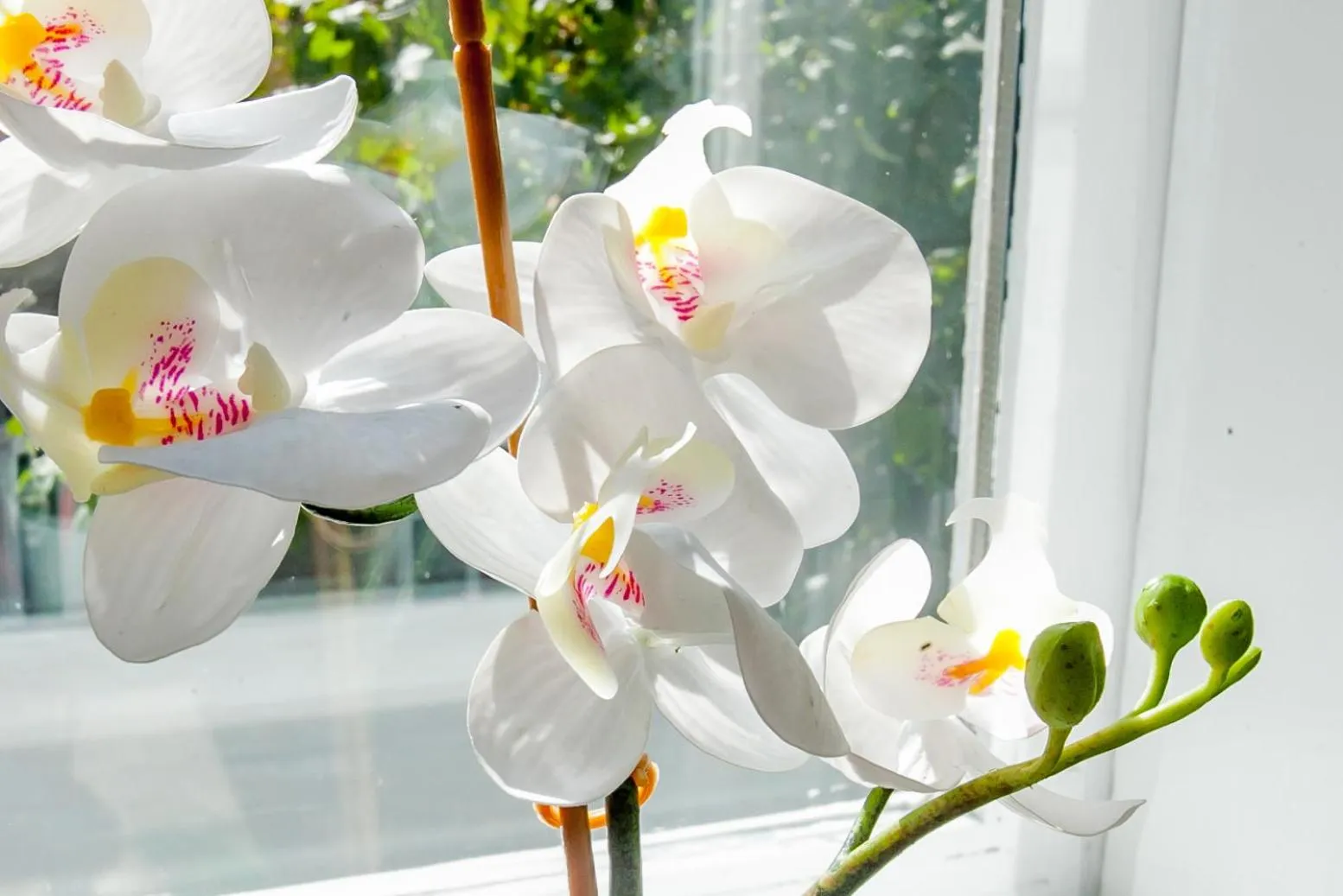 Zagreb City Vibe Apartments & Rooms