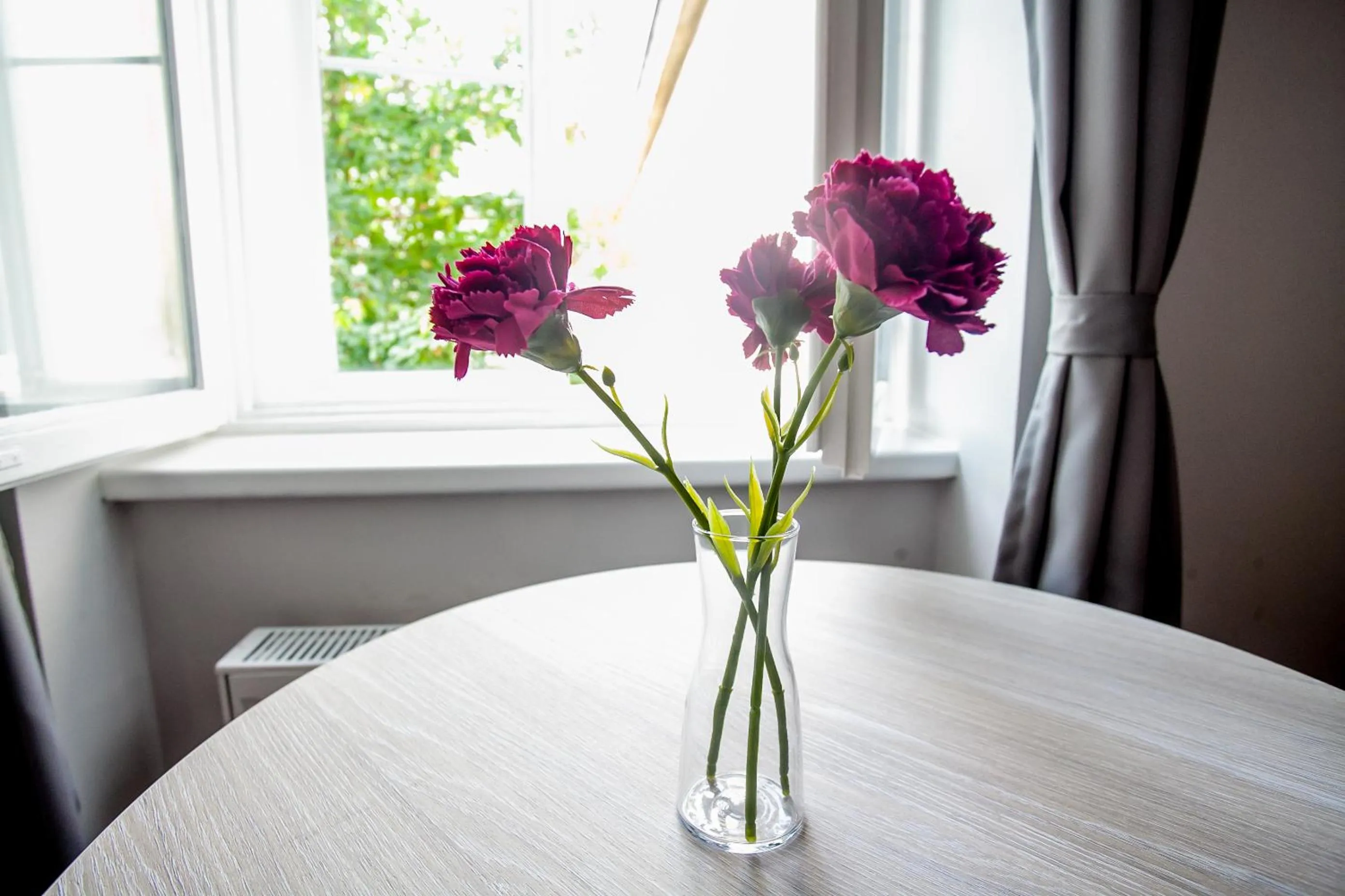 Zagreb City Vibe Apartments & Rooms