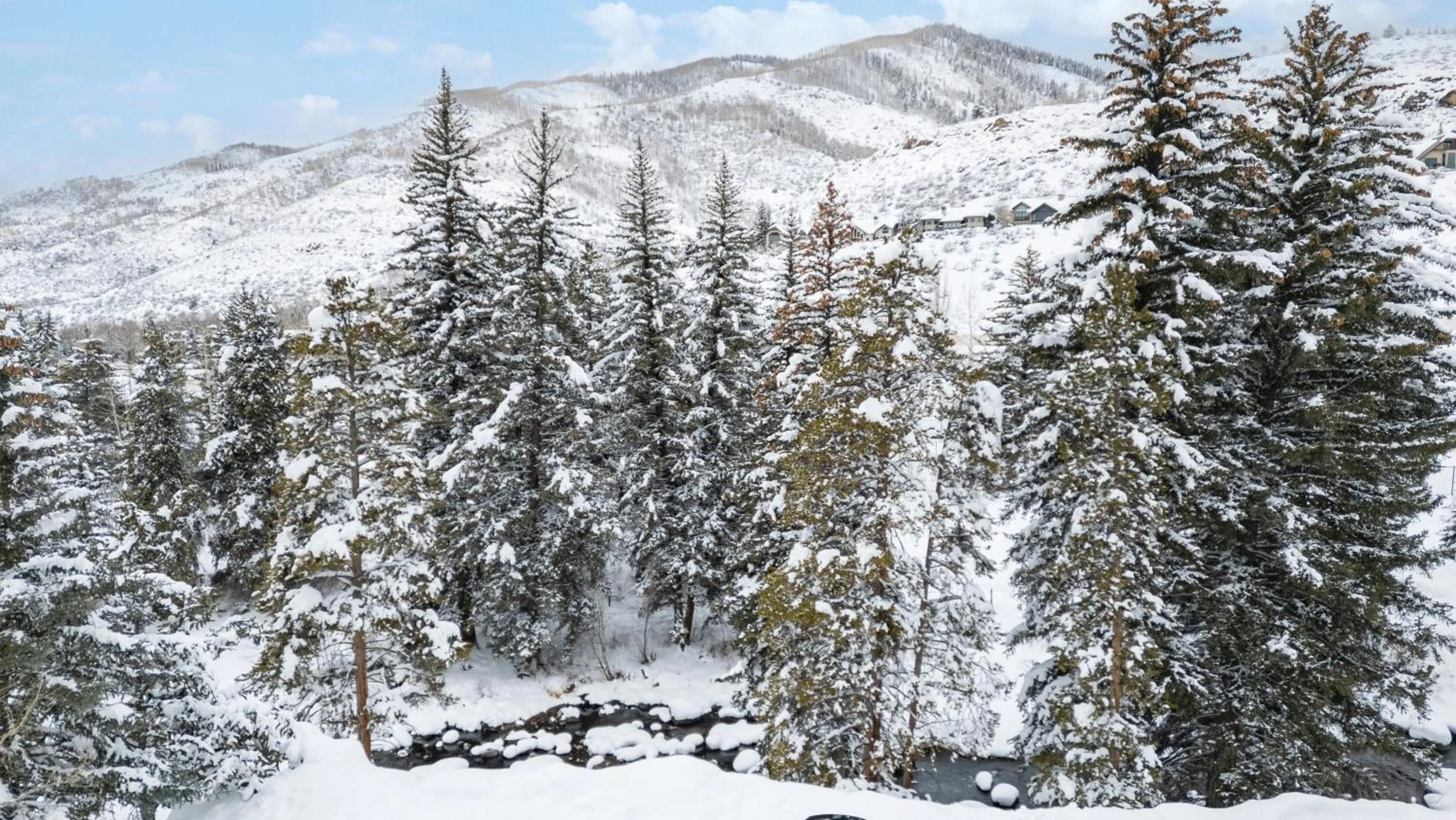 Day in Eagle Point Resort