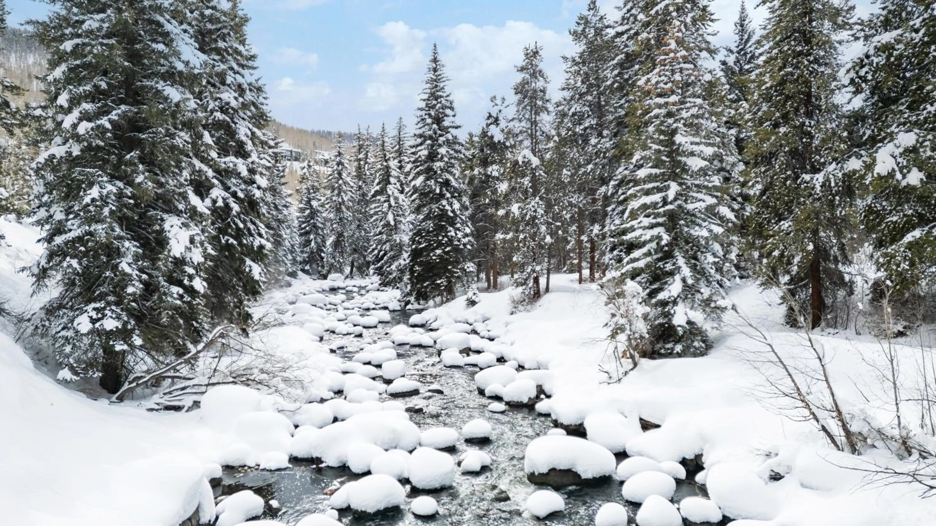 Day in Eagle Point Resort