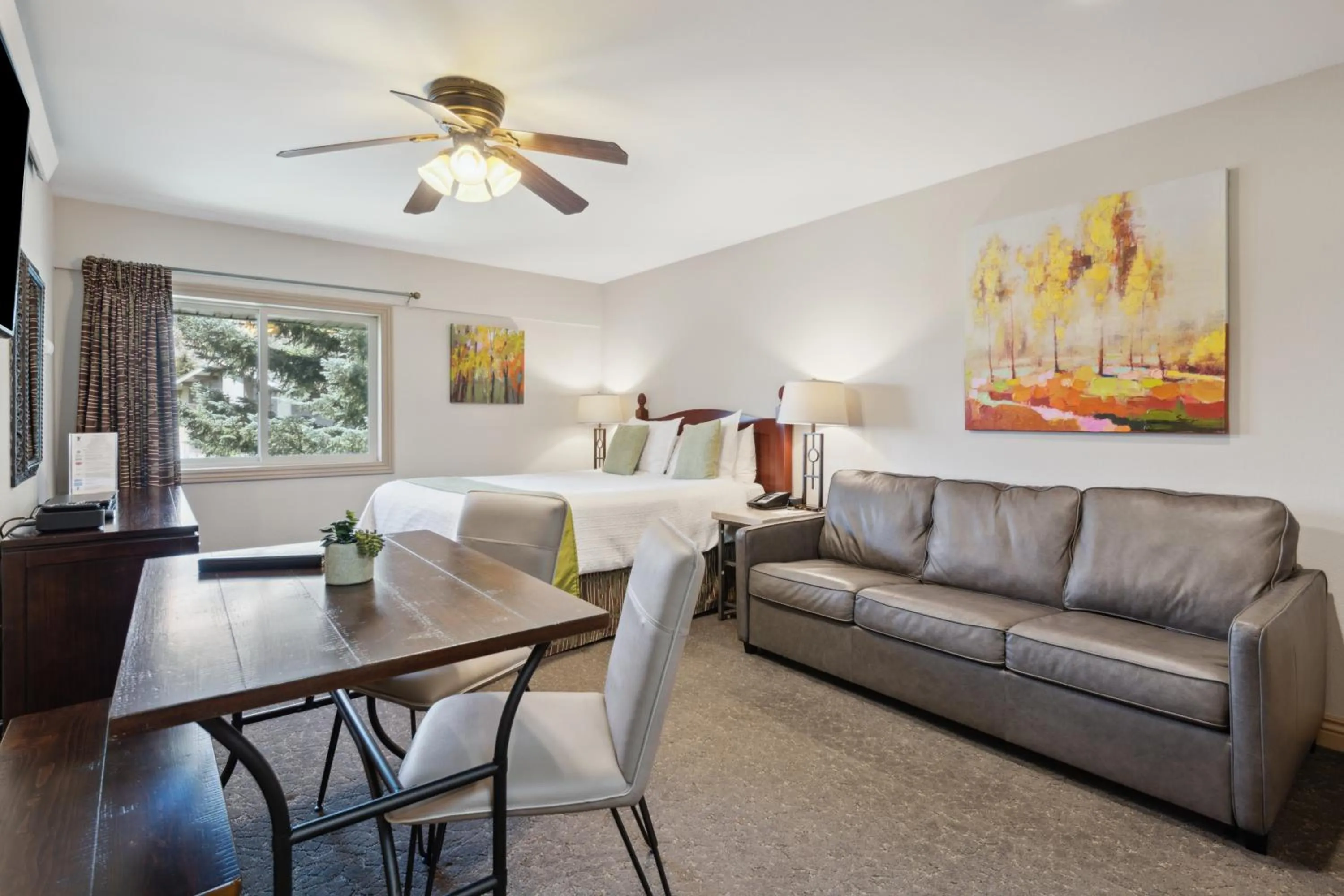 Photo of the whole room in Falcon Point