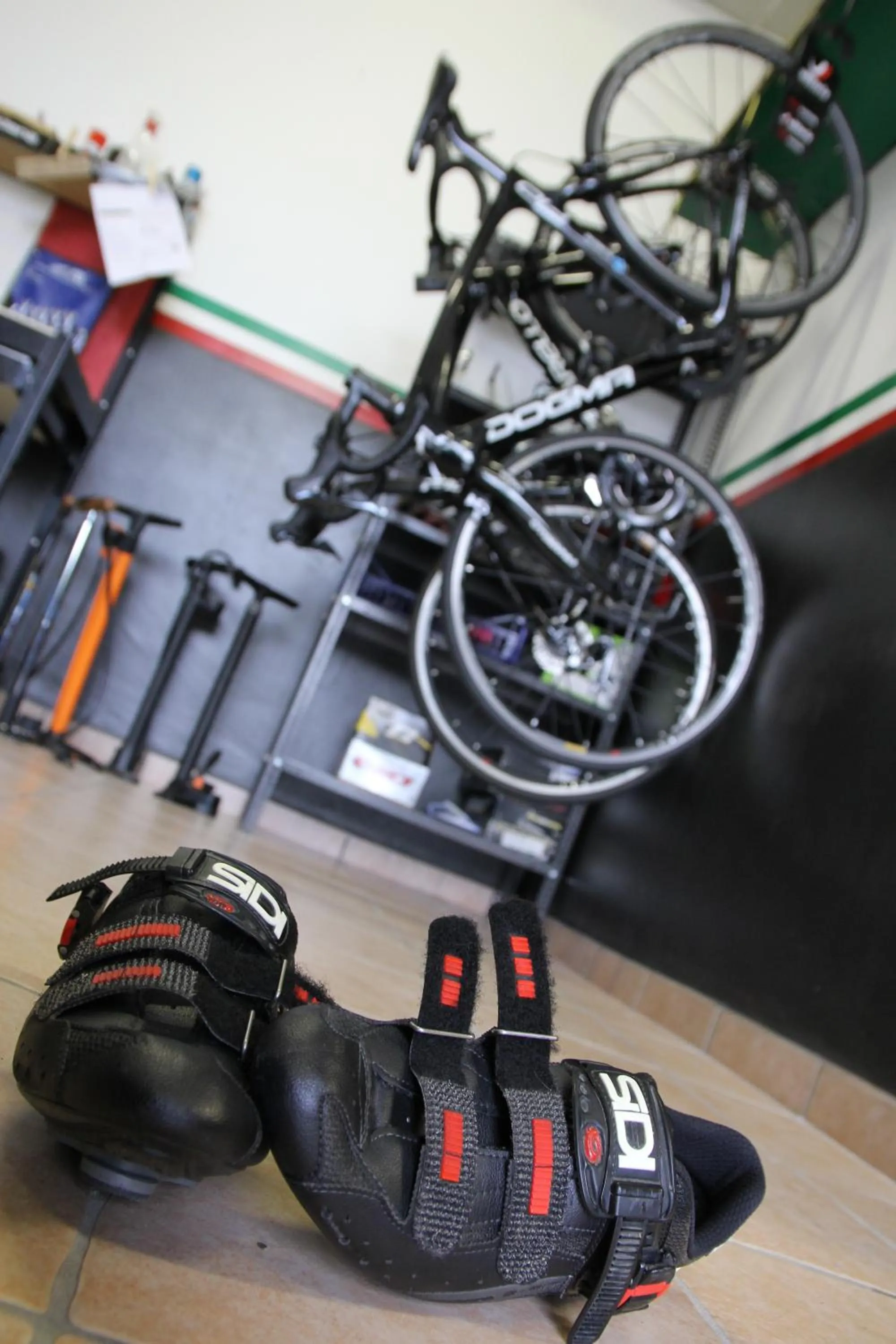 Activities in Lo Scoiattolo Piedmont Bike Hotel