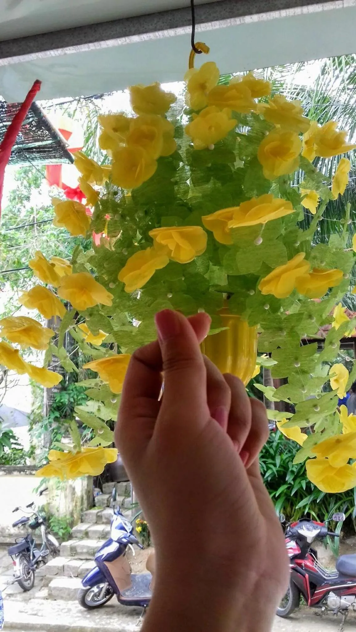 Day in Cuong Thinh Homestay