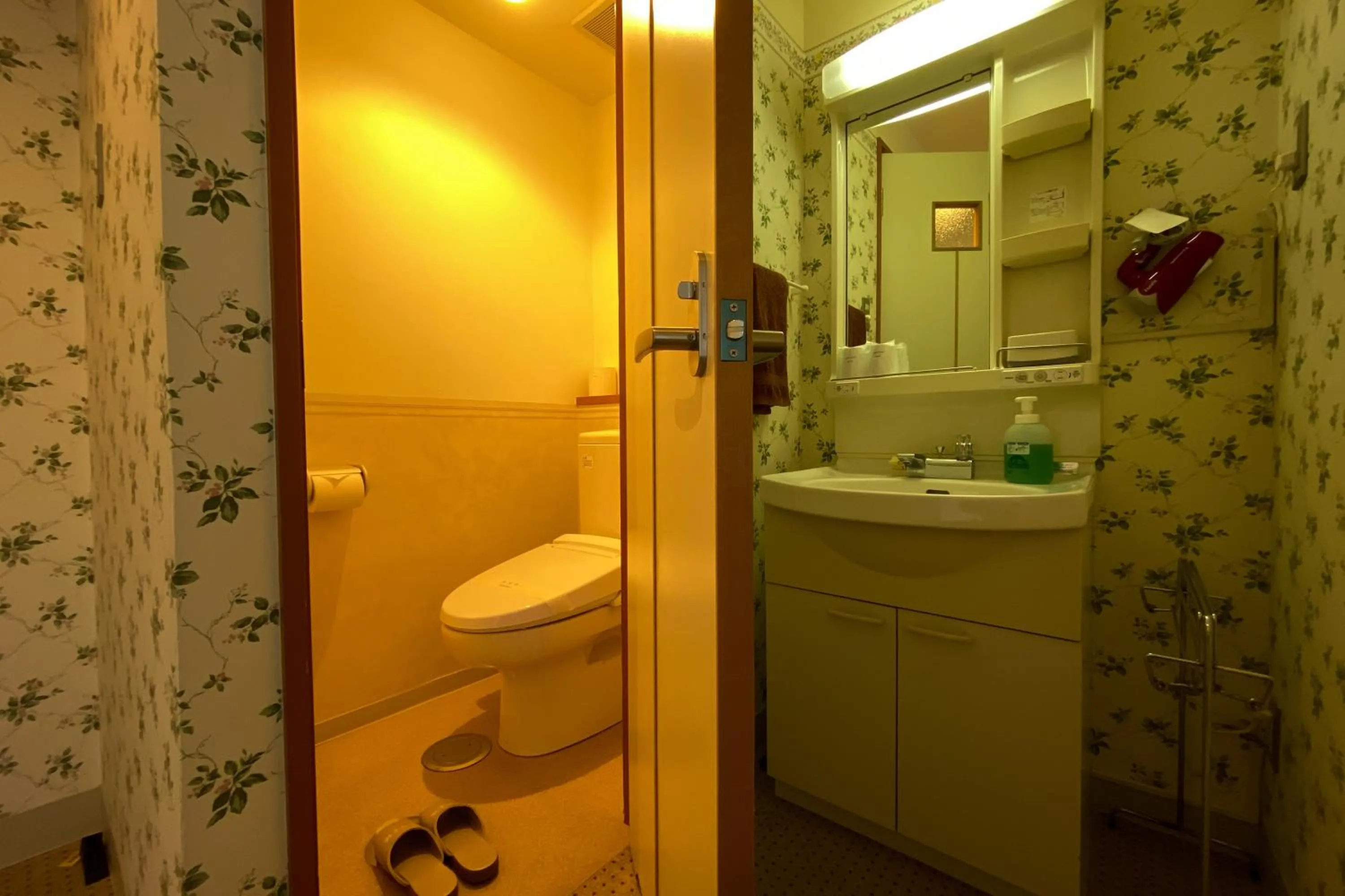 Toilet in Tango Onsen Hashiudosou