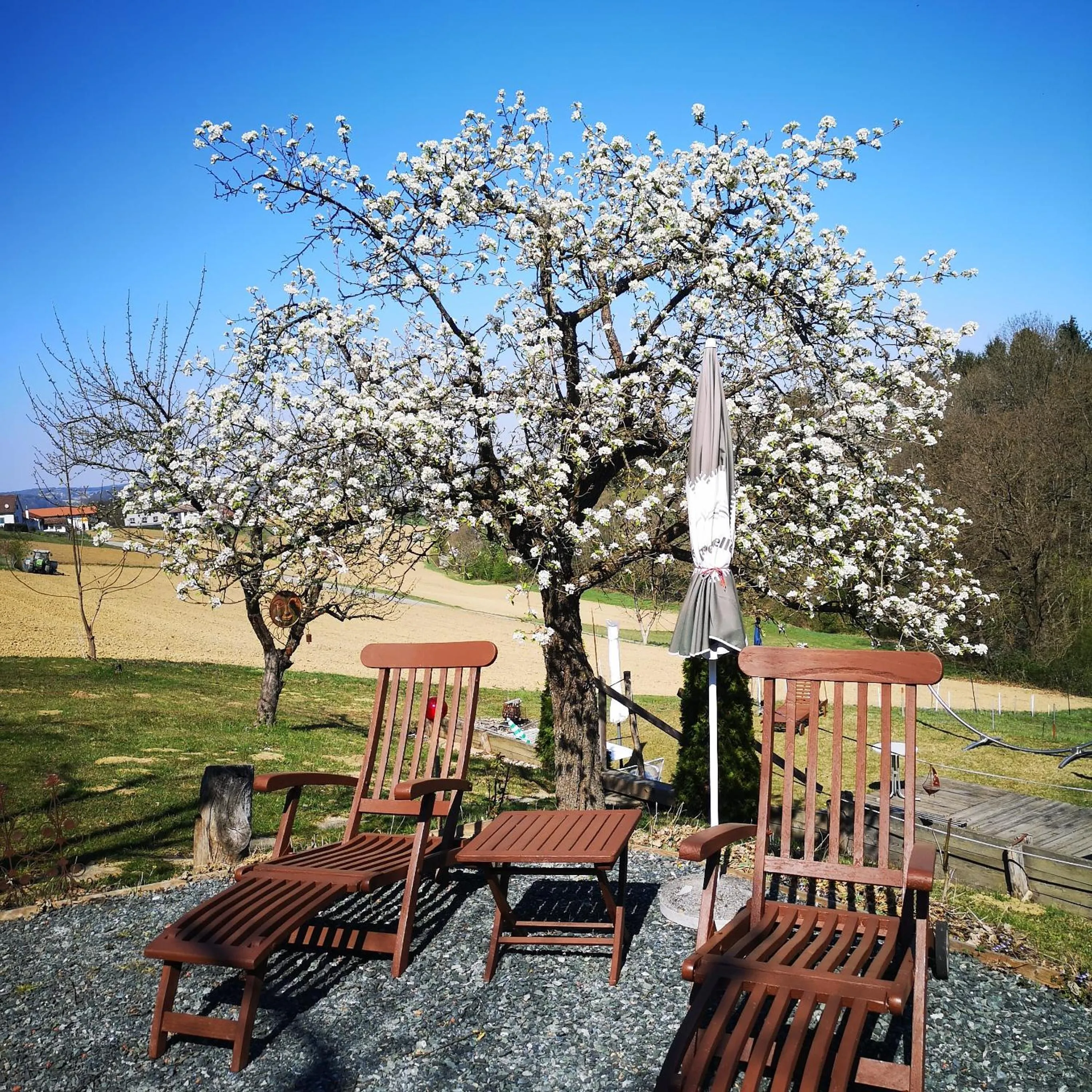 Garden in FerienAppartments Landhaus FühlDichWohl