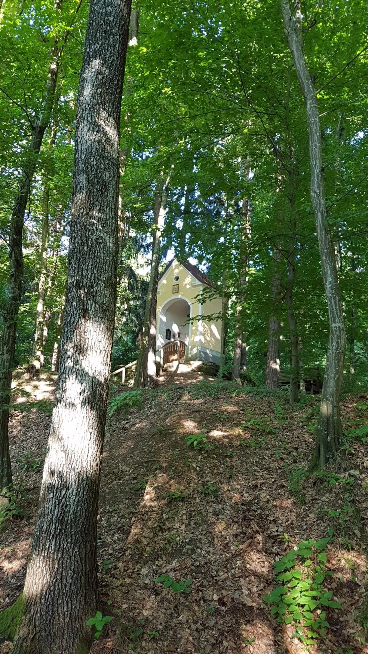 Hiking in FerienAppartments Landhaus FühlDichWohl