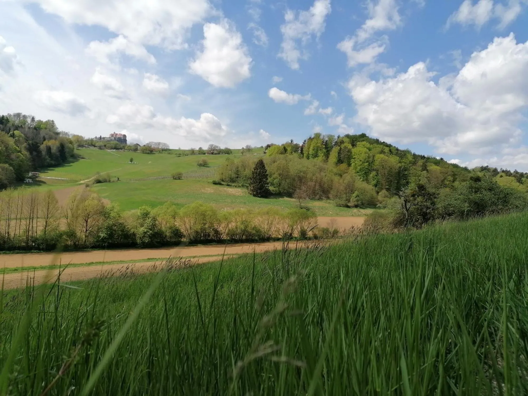 Natural landscape in FerienAppartments Landhaus FühlDichWohl