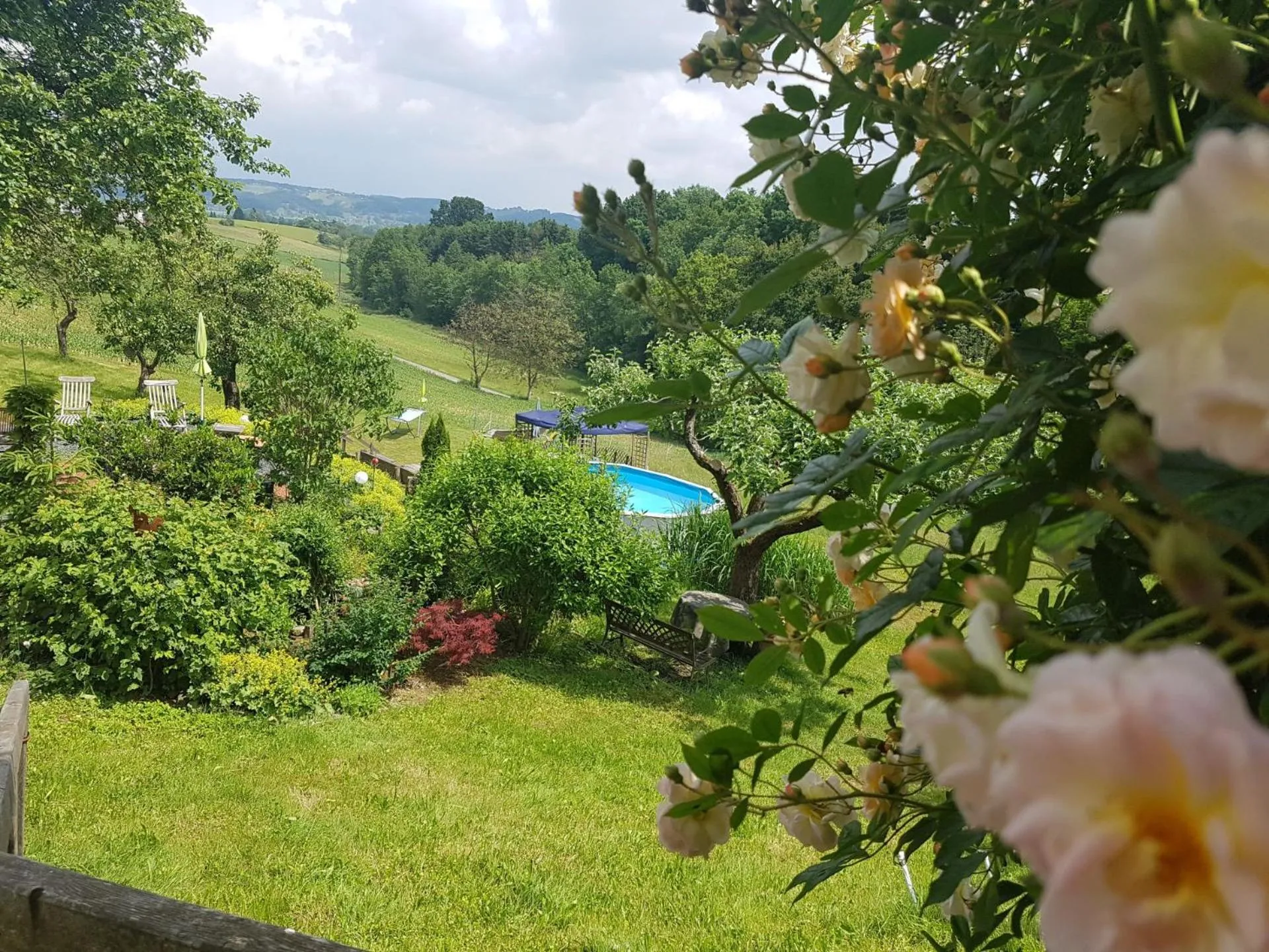 View (from property/room) in FerienAppartments Landhaus FühlDichWohl