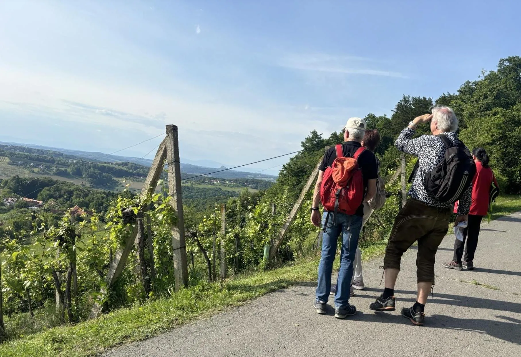 Hiking in FerienAppartments Landhaus FühlDichWohl