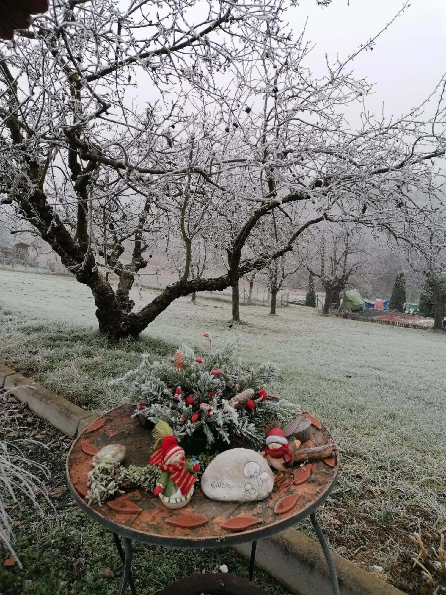 Garden in FerienAppartments Landhaus FühlDichWohl