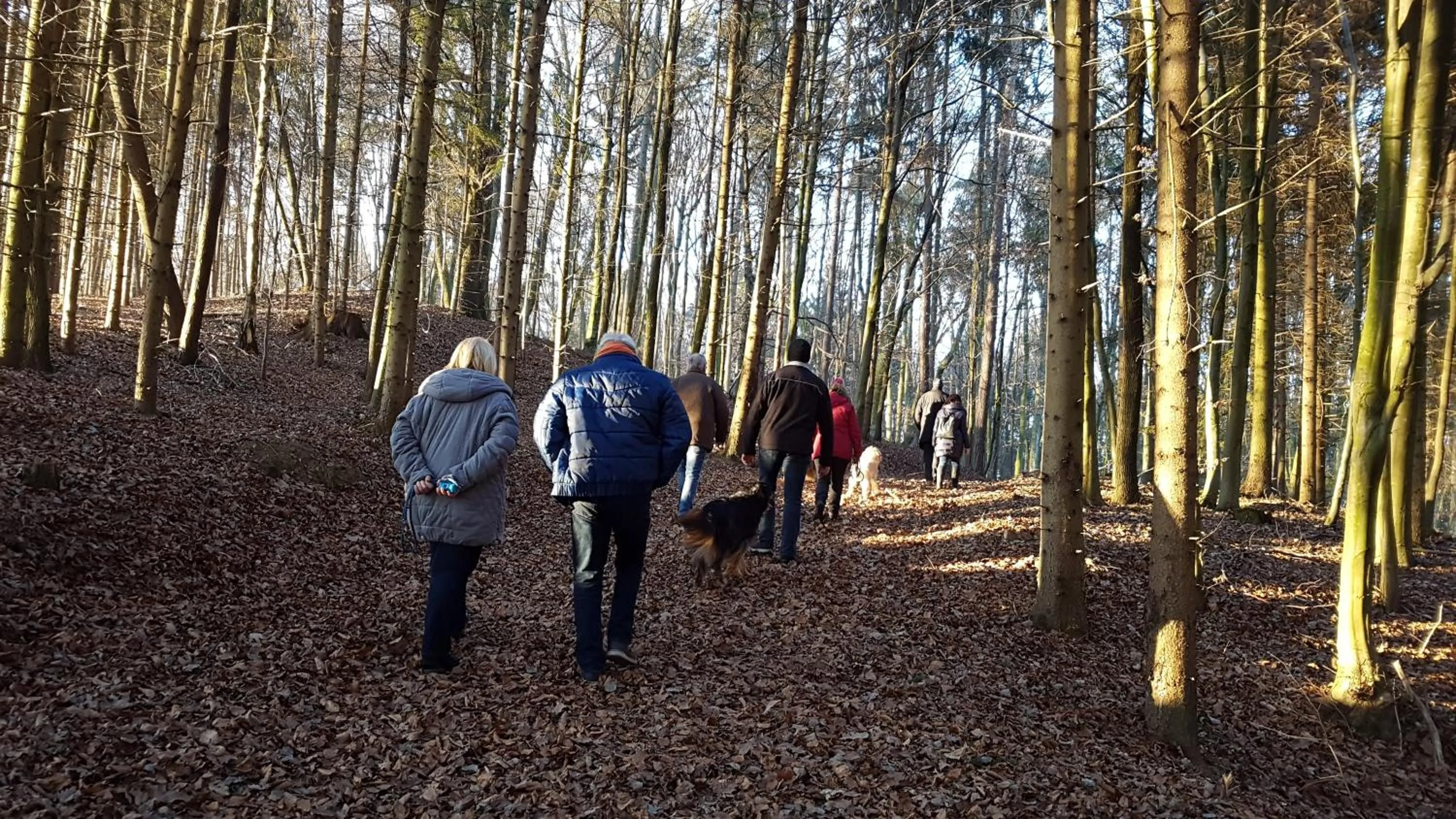 Hiking in FerienAppartments Landhaus FühlDichWohl