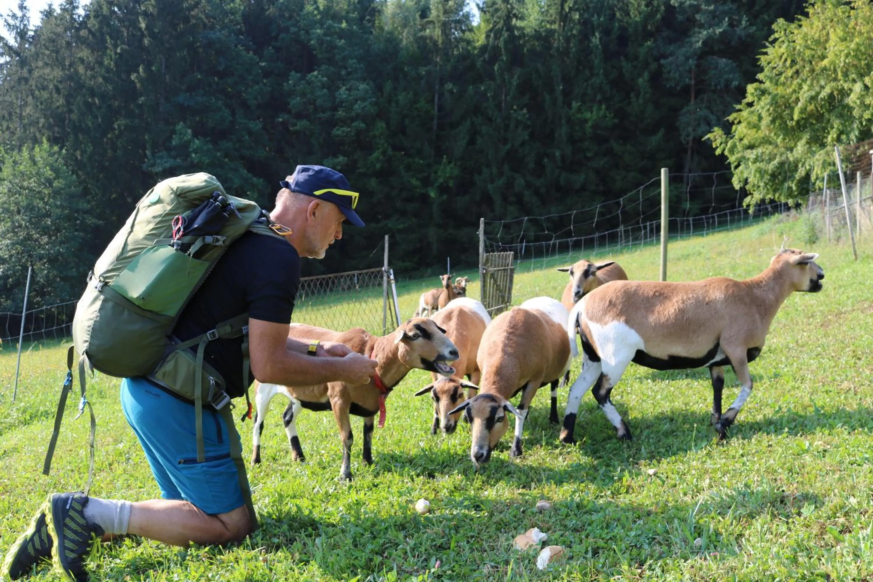 Hiking in FerienAppartments Landhaus FühlDichWohl
