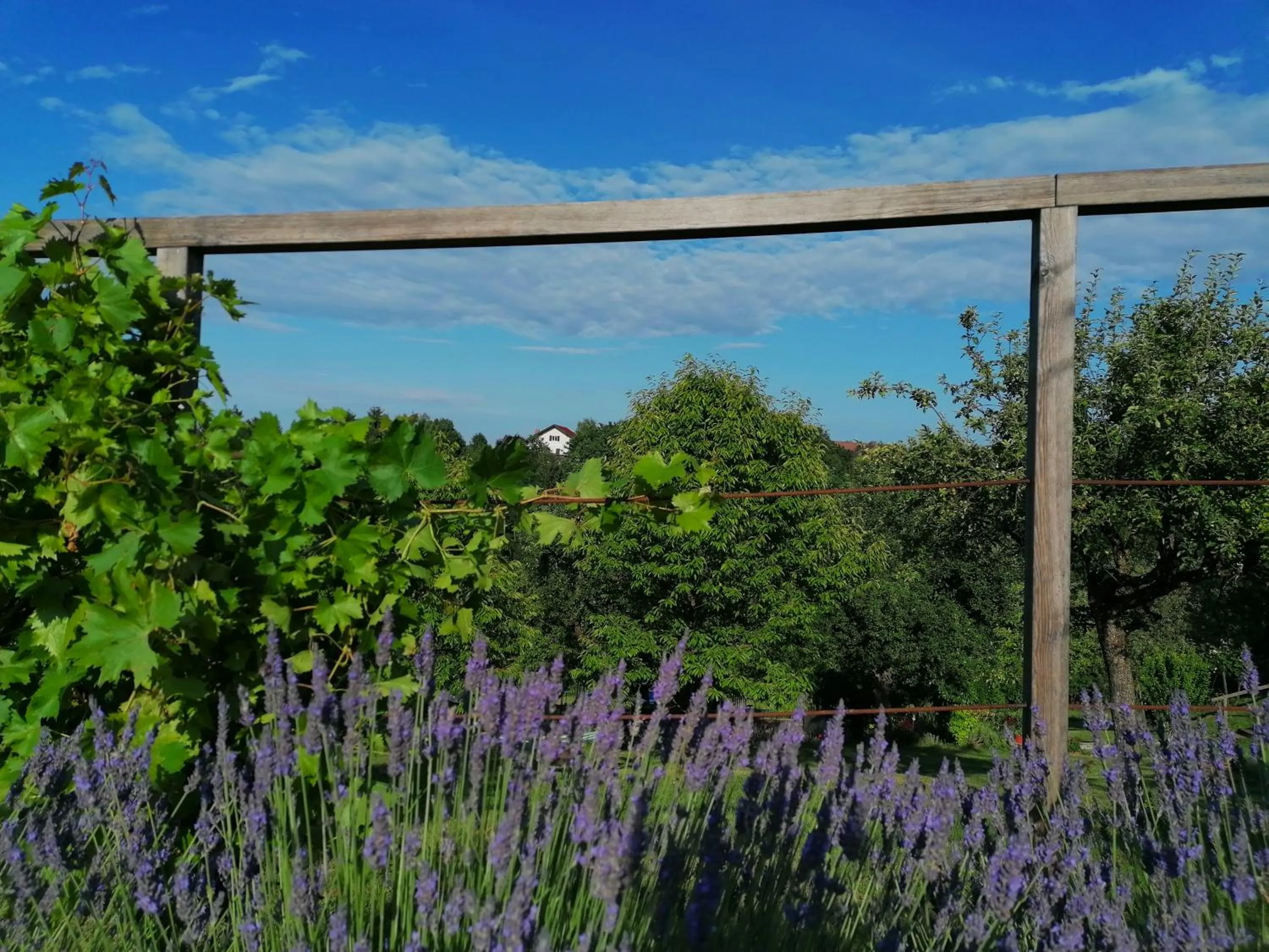 Garden view in FerienAppartments Landhaus FühlDichWohl